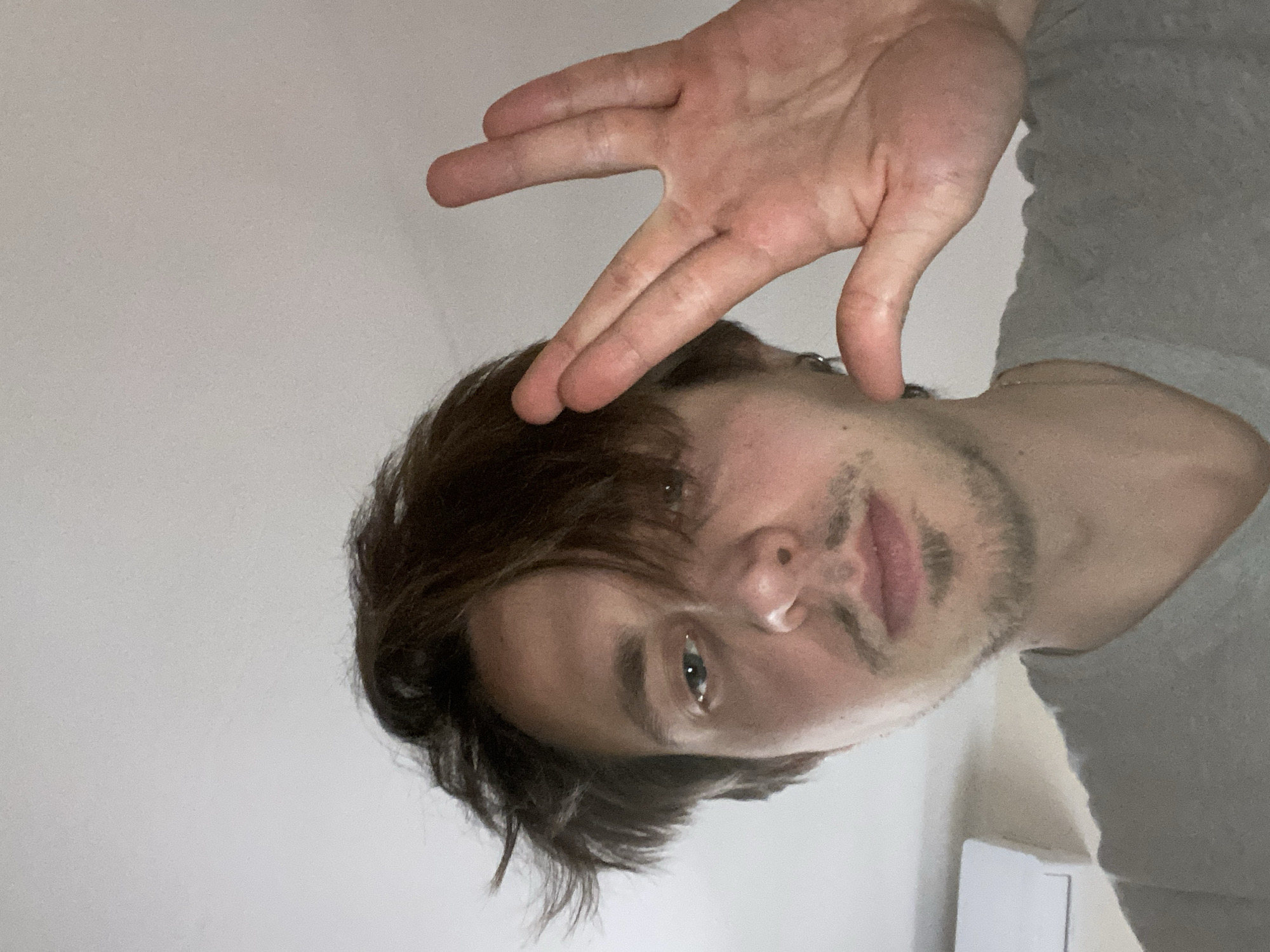 A selfie of a man with brown hair and light stubble. He is wearing a gray shirt. His right hand is raised, fingers splayed in a Vulcan salute. The background is a plain white wall. The location is unknown. There is no evidence of being in Šušanj, Montenegro.