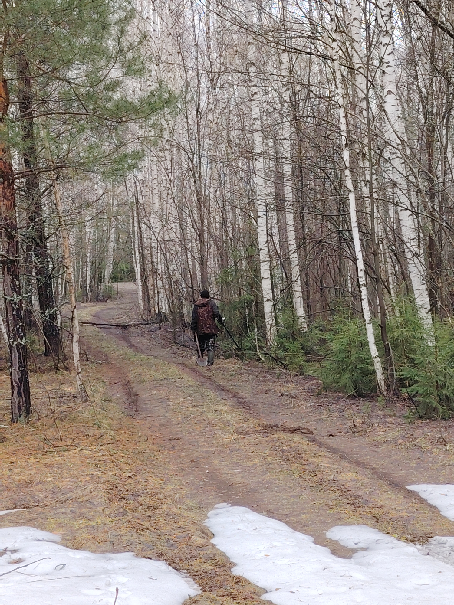 The image depicts a person walking along a dirt path through a forest in Markovskii, Russia. The scene appears to be set in early spring or late autumn, characterized by the presence of bare deciduous trees and patches of melting snow on the ground.
The forest is a mix of tree types: a prominent pine tree with green needles stands on the left, while numerous slender birch trees with white bark line the path, especially on the right side and in the background. Other bare-branched trees, possibly aspens or oaks, are also visible, along with small evergreen saplings growing closer to the ground.
The person, seen from behind, is wearing a camouflage-patterned jacket, a dark hat, and dark boots. They are carrying a shovel in their right hand and an object consistent with a metal detector, with a long pole extending from their left side, suggesting they are engaged in metal detecting or a similar activity. The dirt path shows clear tracks, possibly from vehicles, and curves gently into the distance.
The ground cover consists of brown, matted leaves and grass, with several distinct patches of white snow in the foreground and along the sides of the path. The lighting is soft and diffuse, indicating an overcast day. There is no visible text in the image.