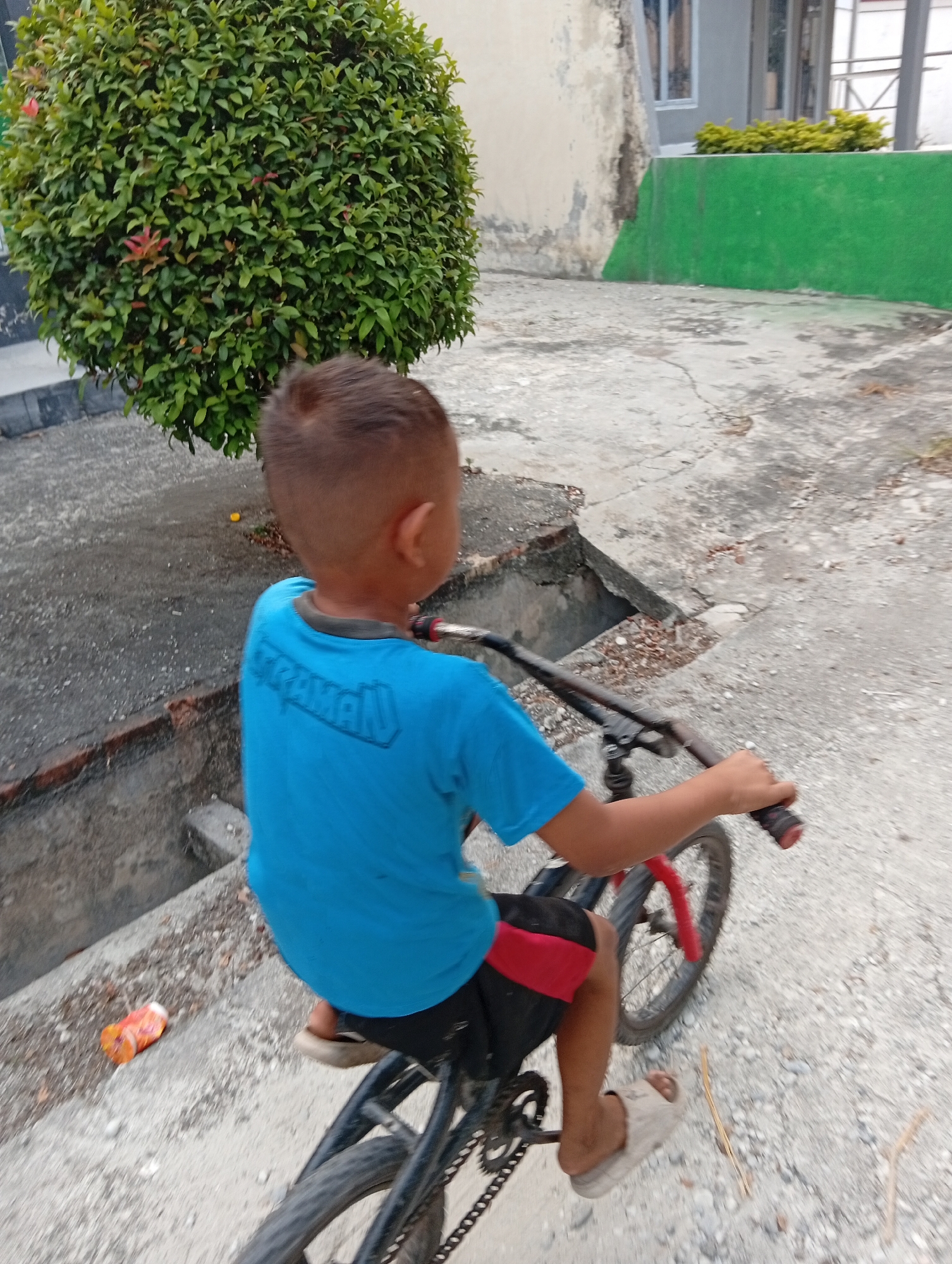 A young boy is riding a bicycle on a concrete path in what appears to be a residential area of Kualu, Indonesia. The boy is wearing a bright blue t-shirt with white lettering that reads "BATMAN" across the back, and black shorts with a red stripe. He has short, dark hair and is looking to his right. His left hand is on the handlebars, and his right hand is also on the handlebars, with his thumb extended. His feet are on the pedals, and he is wearing light-colored sandals. The bicycle is black with red accents on the wheels and frame.
The environment consists of a cracked concrete surface with scattered gravel and a few dried leaves. To the left of the path is a low, concrete wall with a dark, possibly water-filled, ditch or drain behind it. Further to the left, a large, dense, round green bush with some reddish tips is visible. In the background, there is a building with pale, textured walls and windows, and a bright green painted wall in front of it, with some yellow-green shrubbery on top. The lighting suggests it is daytime, with diffuse sunlight. An orange and white wrapper is visible on the ground near the concrete wall.