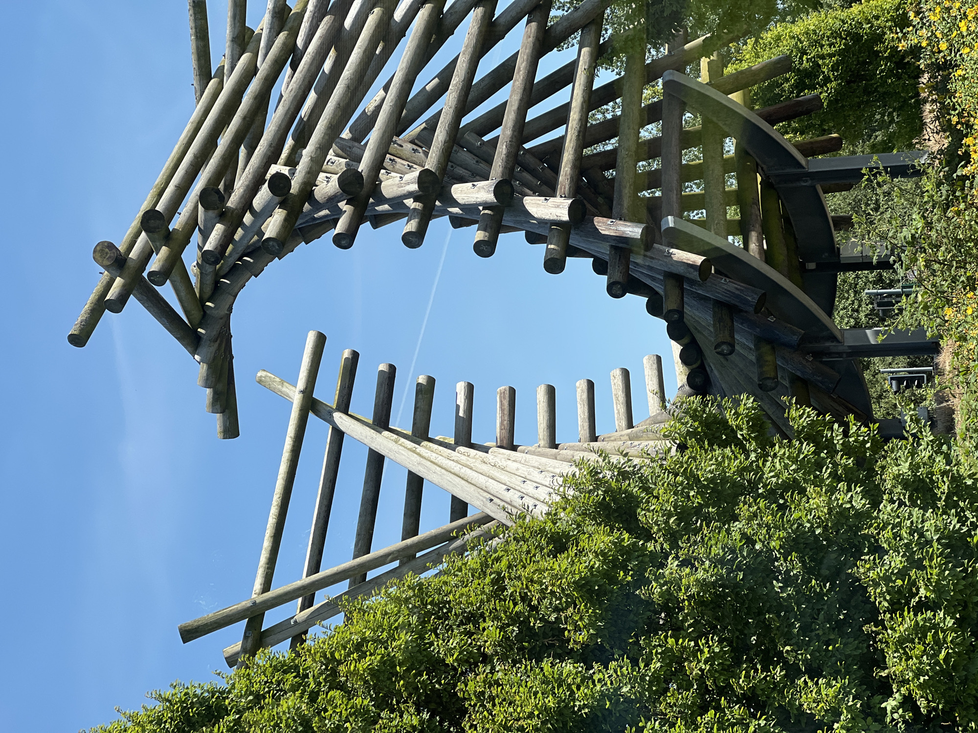 This is a medium-shot, eye-level, outdoor photograph of an abstract wooden sculpture against a bright blue sky. The sculpture is constructed from numerous cylindrical wooden beams of varying lengths, crisscrossed and layered to form an organic, curved shape resembling a tunnel or a wave. The wood appears weathered and grayed, with visible grain and knots. Some of the beams are joined with visible metal fasteners. A lush green tree with dense foliage occupies the left side of the frame, partially obscuring the left section of the sculpture. The lower portion of the image shows more greenery, including a bed of yellow flowers in the foreground. The sky is clear, with a faint white contrail visible. The sculpture is a prominent feature of the landscape, suggesting it is an outdoor art installation or a unique architectural element in a park or public space. While the image itself does not provide specific geographical markers to confirm its location in Letterkenny, Ireland, such artistic structures are common in public parks and cultural areas within cities.