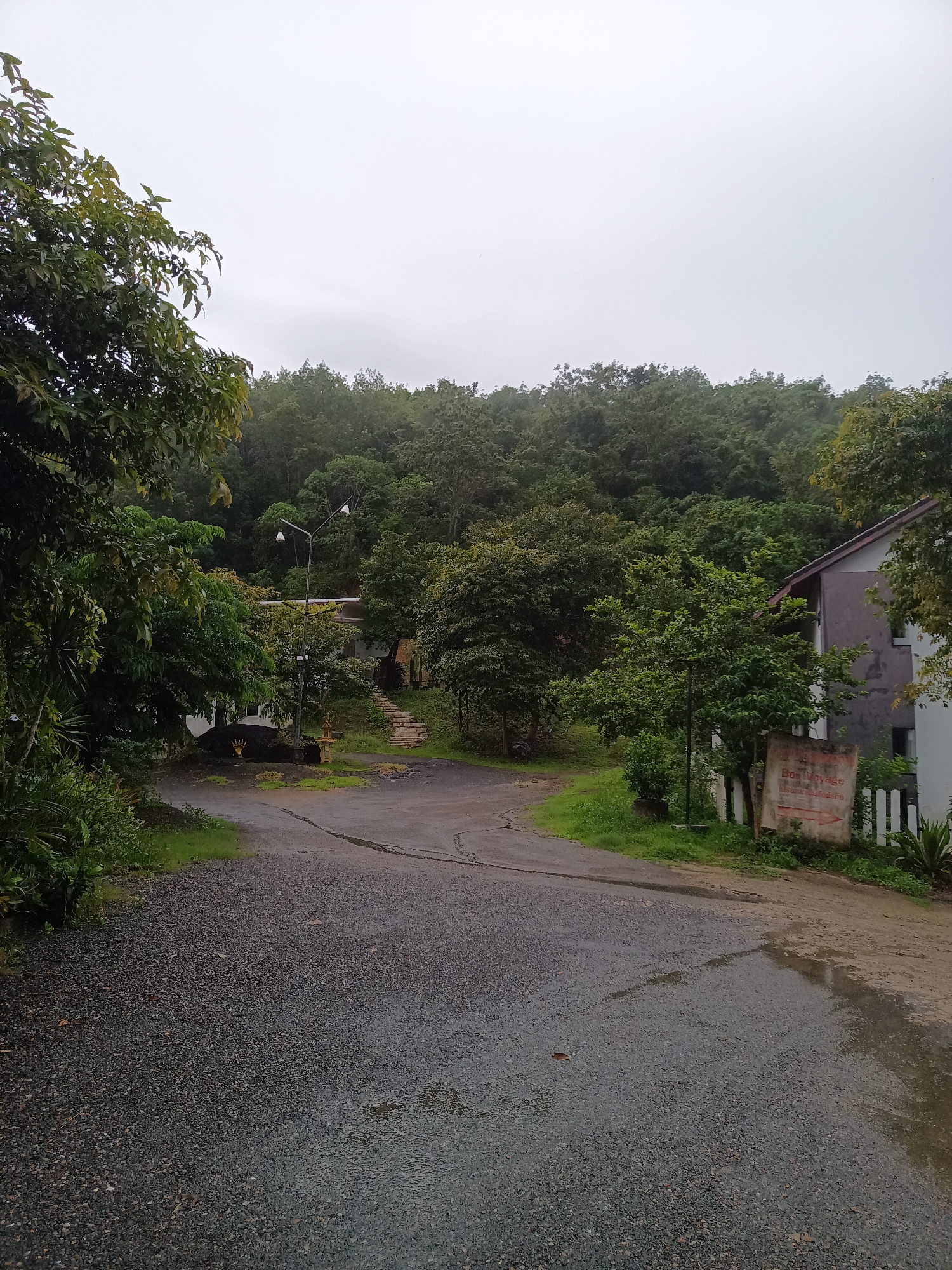 The image shows a road in Ban Tak Daet, Thailand, with a wet, dark grey gravel surface. The road forks, with one path leading uphill through dense green trees and a second, paved path veering to the right of a building. A lamppost stands near the uphill path. The building has a white picket fence and a sign reading "Bon Voyage." The sky is overcast and grey, indicating a recent or ongoing rain. The scene conveys a quiet, possibly rural, setting. No people are visible.