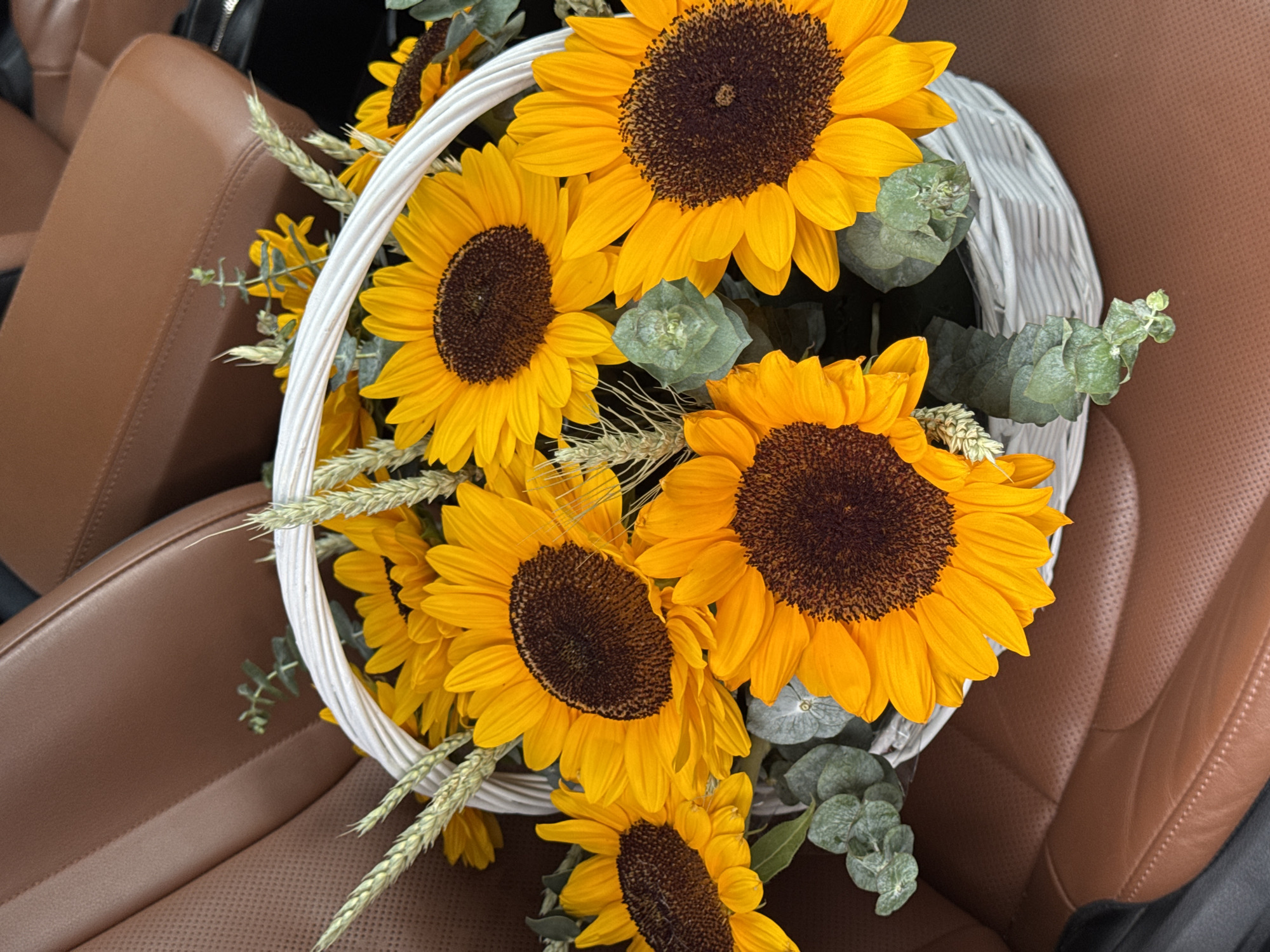 A bouquet of sunflowers in a white woven basket is placed on a brown leather car seat. The sunflowers are vibrant yellow with dark brown centers, and some greenery and wheat stalks are interspersed among the flowers. The car interior is visible, with the textured leather of the seats and part of the dashboard. There are no people present in the image. The scene does not contain any specific landmarks or details that would allow for identification of a location in Almaty, Kazakhstan.