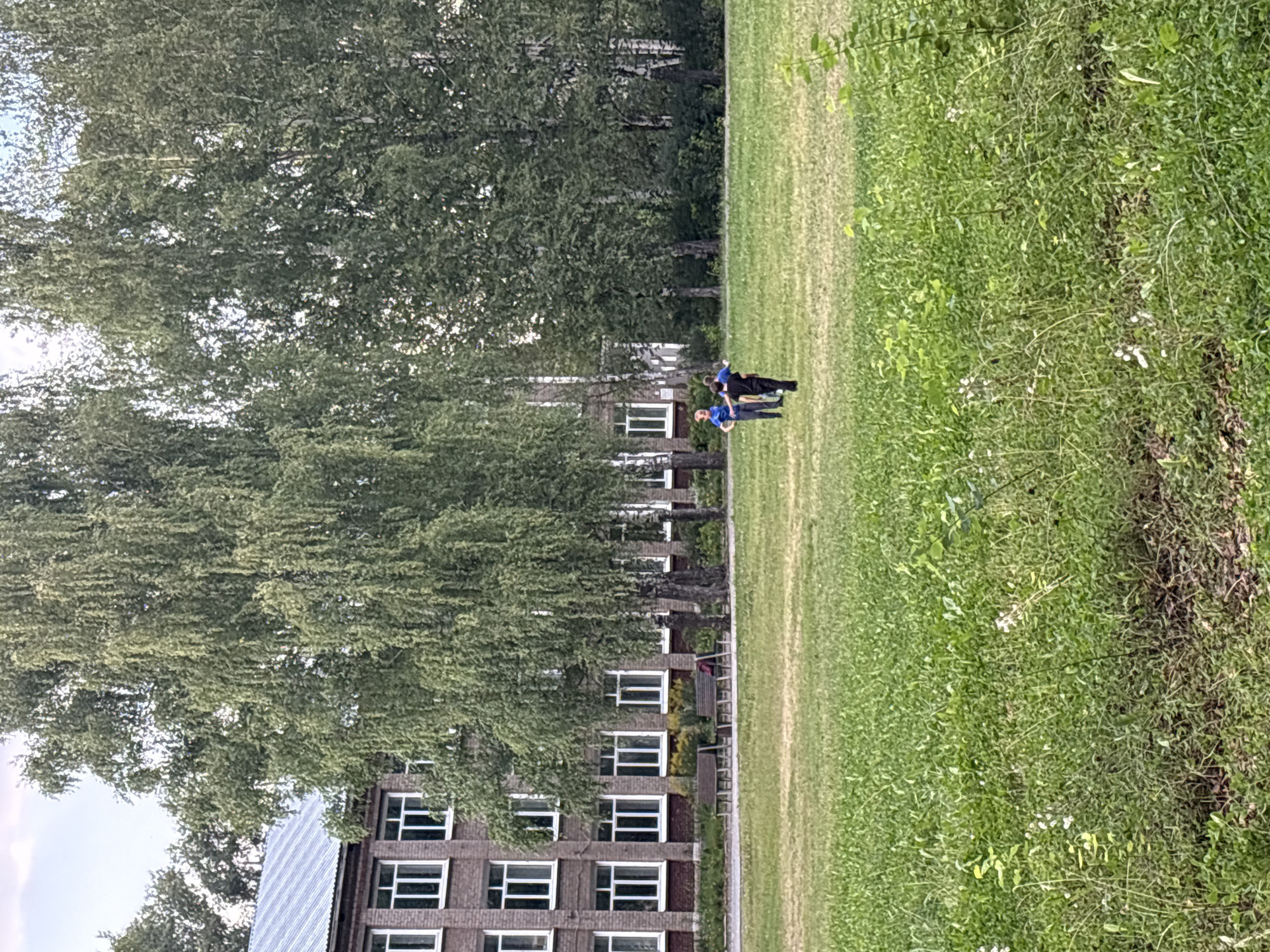 The image depicts an outdoor scene in the city of Krasnokamsk, Russia. In the foreground, a grassy field with scattered weeds and small plants is visible. In the middle ground, two individuals are walking on the grass. One person, wearing a dark shirt and pants, is walking away from the camera. The other person, in a blue shirt and dark pants, is facing slightly away from the camera and appears to be talking or interacting with the first individual. Behind them, a row of trees, primarily birch trees with their characteristic white bark, stand tall. Further in the background, a brick building with multiple windows and a metal roof is present, likely a school or institutional building. Two wooden benches are situated on a paved area in front of the building, with a red bag resting on one of them. The overall environment suggests a public space, possibly a schoolyard or park area, during daylight hours.