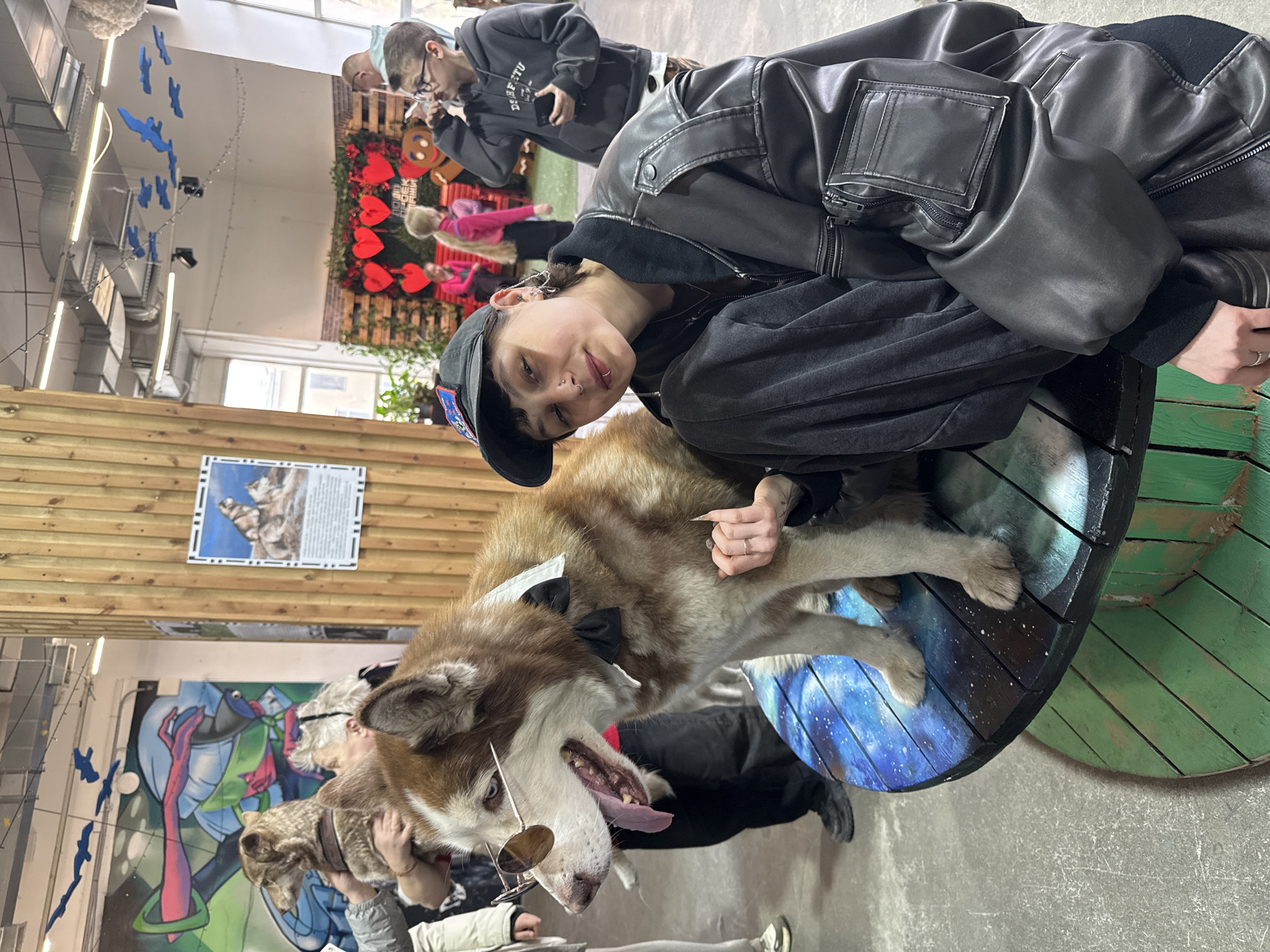 The image shows a person posing with a husky dog in what appears to be an indoor event space. The person is wearing a black leather jacket, a black hoodie, and a black baseball cap. They have multiple piercings in their ears and nose. They are leaning in towards the husky dog. The husky dog is wearing a bowtie and has sunglasses perched on its nose. The dog's mouth is open, and its tongue is visible. They are standing on what appears to be a large wooden spool or cable reel that is painted with a celestial theme. In the background, there are other people, decorations, and artwork on the walls. Based on visual cues such as decorations and the presence of husky dogs, the location may be associated with an animal-themed event or gathering. The location is in Saint Petersburg, Russia.