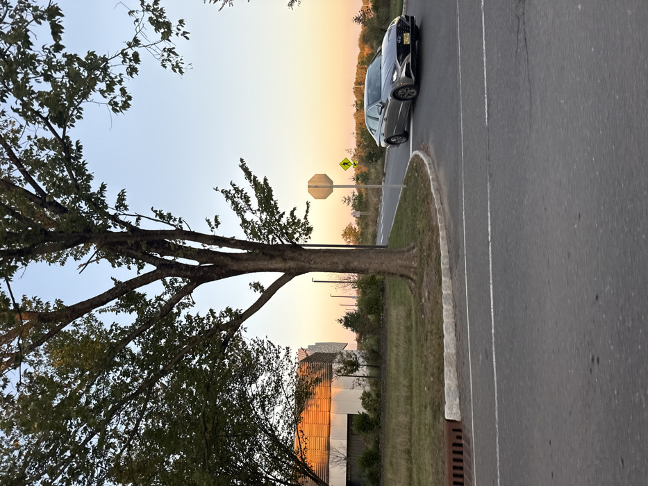 The image depicts an outdoor scene at sunset within a modern campus or research park environment in Princeton, New Jersey, United States. The sky exhibits a gradient from light blue overhead to warm orange and yellow hues at the horizon.
In the foreground, an asphalt road surface with white line markings is visible, including a solid white line on the right and a dashed white line centrally. A granite block curb separates the road from a grassy median containing a prominent deciduous tree with dark green foliage. A metal storm drain grate is present in the lower-left corner of the road.
In the midground, a silver four-door Hyundai Sonata sedan is captured mid-turn, moving from right to left, with its front angled towards the viewer. A New Jersey license plate is affixed to its front bumper. To the right of the central tree, a white octagonal stop sign and a yellow diamond-shaped pedestrian crossing sign are mounted on poles beside the road. Multiple dark-colored streetlights are distributed along the road's edge.
On the far left, a modern building with distinctive architecture is illuminated by the low-angle sunlight. Its upper facade features horizontal, possibly wooden or composite, slats reflecting a vibrant golden orange. The lower section of the building is white or light-colored with dark-framed windows. The background consists of distant trees and foliage under the sunset glow. No people are visible in the scene.