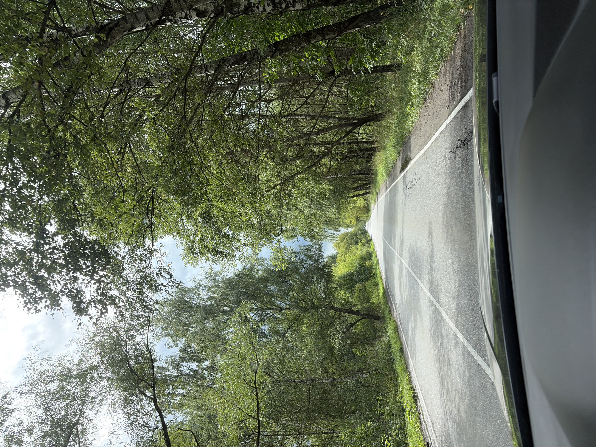 The image shows a view from inside a vehicle looking out at a paved road in a wooded area. The road is bordered by dense green trees on both sides, with birch trees being prominent. The sky is partly cloudy. The road appears to be a two-lane road with white lane markings. There is some damage visible on the road surface, including cracks and a small puddle. The vegetation is lush and green, suggesting a temperate climate during the warmer months. The scene depicts a typical rural or suburban road passing through a forest. The location is identified as the city of Imeni Vorovskogo, Russia. There are no people or animals visible in the image.