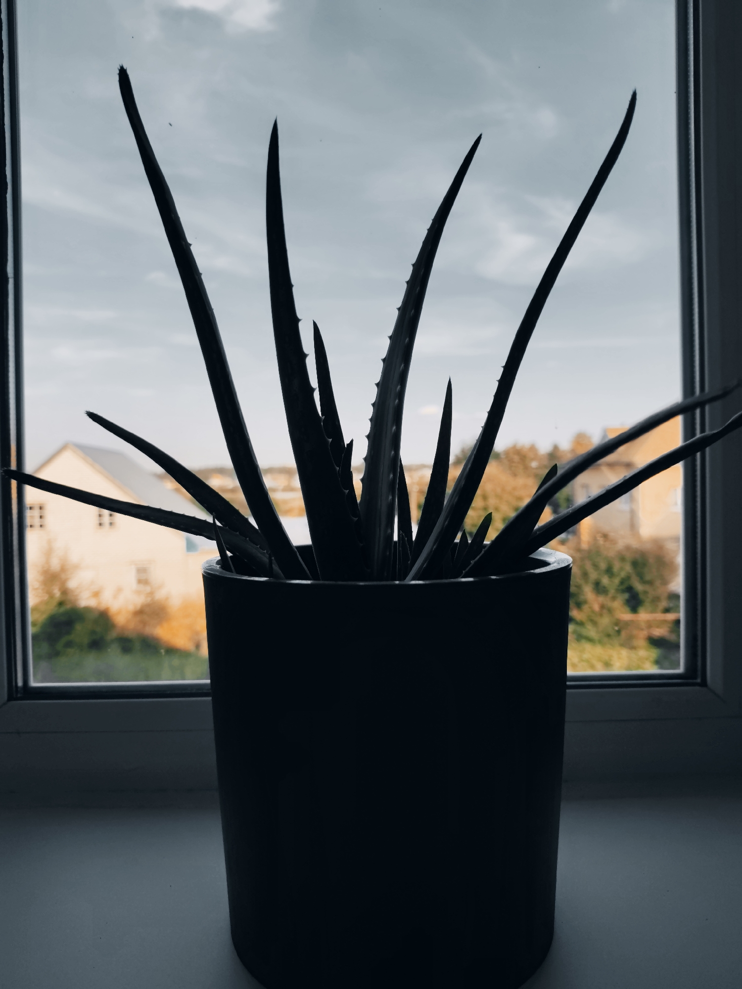 A backlit silhouette of an aloe vera plant in a dark pot sits on a white windowsill, positioned in front of a window. Through the window, a cloudy sky is visible above a blurred background of houses and trees. The houses appear to be light-colored with dark roofs, and the trees show autumnal foliage with shades of green and orange. The scene is set indoors, likely in a residential building in Osino, Russia, given the architectural style of the houses and the presence of a windowsill and window. There are no people or animals visible in the image. The overall mood is calm and domestic.