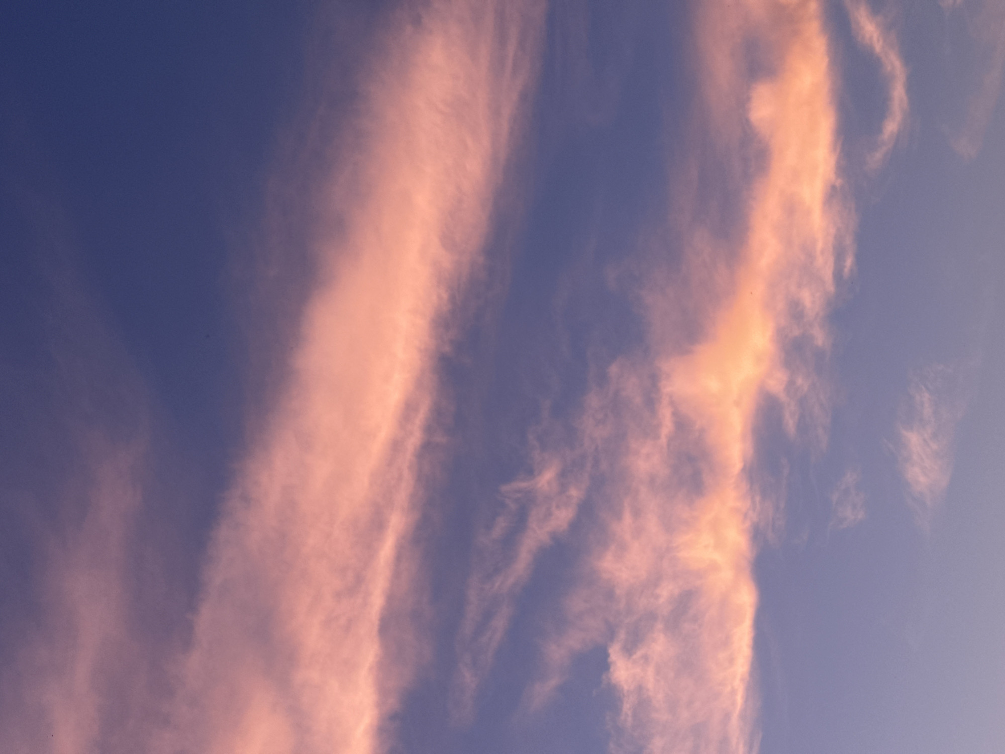 This is a vertical, eye-level, close-up shot of a dusky sky filled with wispy clouds that are illuminated with shades of pink and orange. The background is a deep indigo blue, transitioning to a lighter lavender hue towards the bottom of the frame. The clouds are streaked and feathery, with some appearing more solid and brightly lit than others, which are more translucent and diffused. The overall impression is that of a sunset or sunrise. There are no people, subjects, or objects visible in the frame, and the scene is purely an atmospheric depiction of the sky.