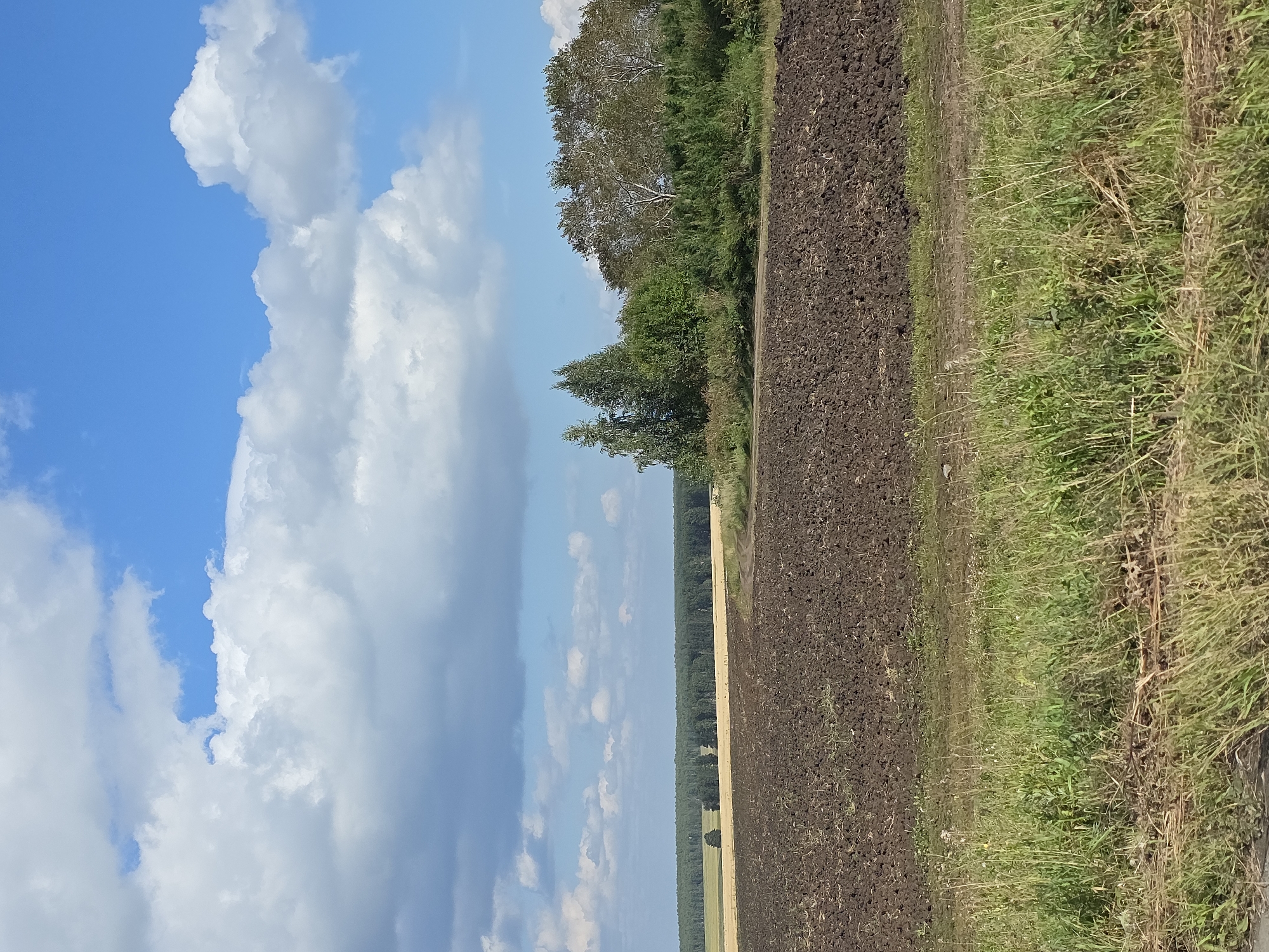 The image depicts a vast, rural landscape under a bright blue sky dotted with fluffy white clouds. In the foreground, a dark brown, freshly plowed field dominates the lower half of the frame, with a strip of green grass and dry vegetation bordering it at the very bottom. Beyond the plowed field, a lighter brown field, possibly a harvested crop or another type of agricultural land, stretches towards a dense, dark green forest in the distance. A dirt road curves into the scene from the right, leading towards a clump of trees and greenery. The scene is situated in the vicinity of Yaratkulova, Russia. There are no people or animals visible in the image. The overall impression is one of agricultural land during daylight hours.