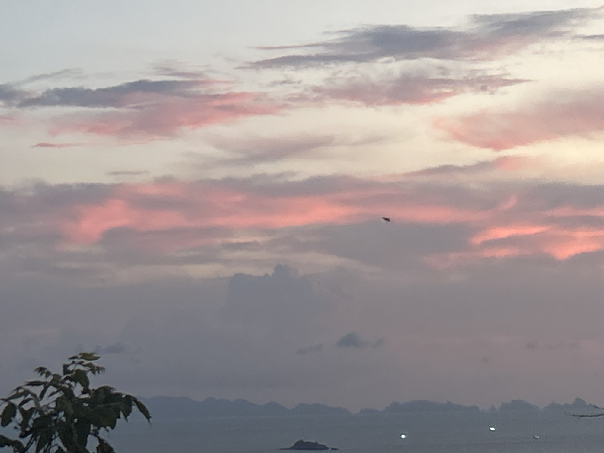 The image depicts a sunset over the sea in Baan Hin Kong, Thailand. The sky is filled with clouds colored pink and grey by the setting sun. An island is visible in the distance with lights on the water. A tree is in the lower left foreground. A bird is flying in the sky.