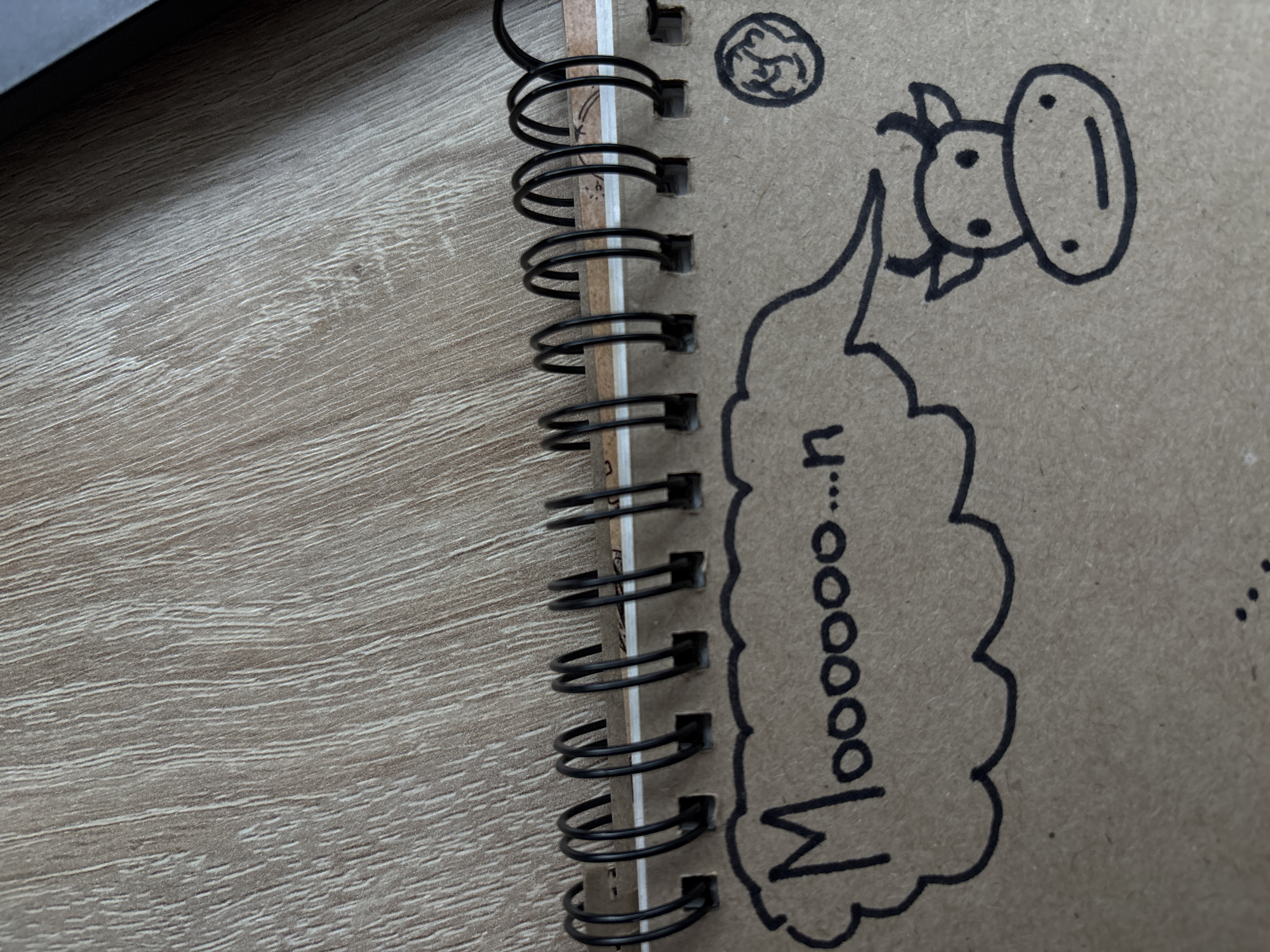 The image shows a close-up view of a spiral-bound notebook with a brown cardboard cover. The notebook is lying on a wooden surface, likely a desk or table, which has a light brown, grainy texture.
On the notebook cover, there is a black ink drawing. In the upper left area, there is a speech bubble containing the text "Moooooo...n". To the right of the speech bubble, a simple drawing of a cow's head is depicted. The cow has two horns, two black dots for eyes, and a curved line for a mouth. To the far right, above the cow's head, there is a small circular drawing that appears to be a coin. The binding of the notebook, consisting of black metal loops, is visible along the top edge of the page.
The image does not provide any information or context that would allow for identification of its location in Saint Petersburg, Russia.