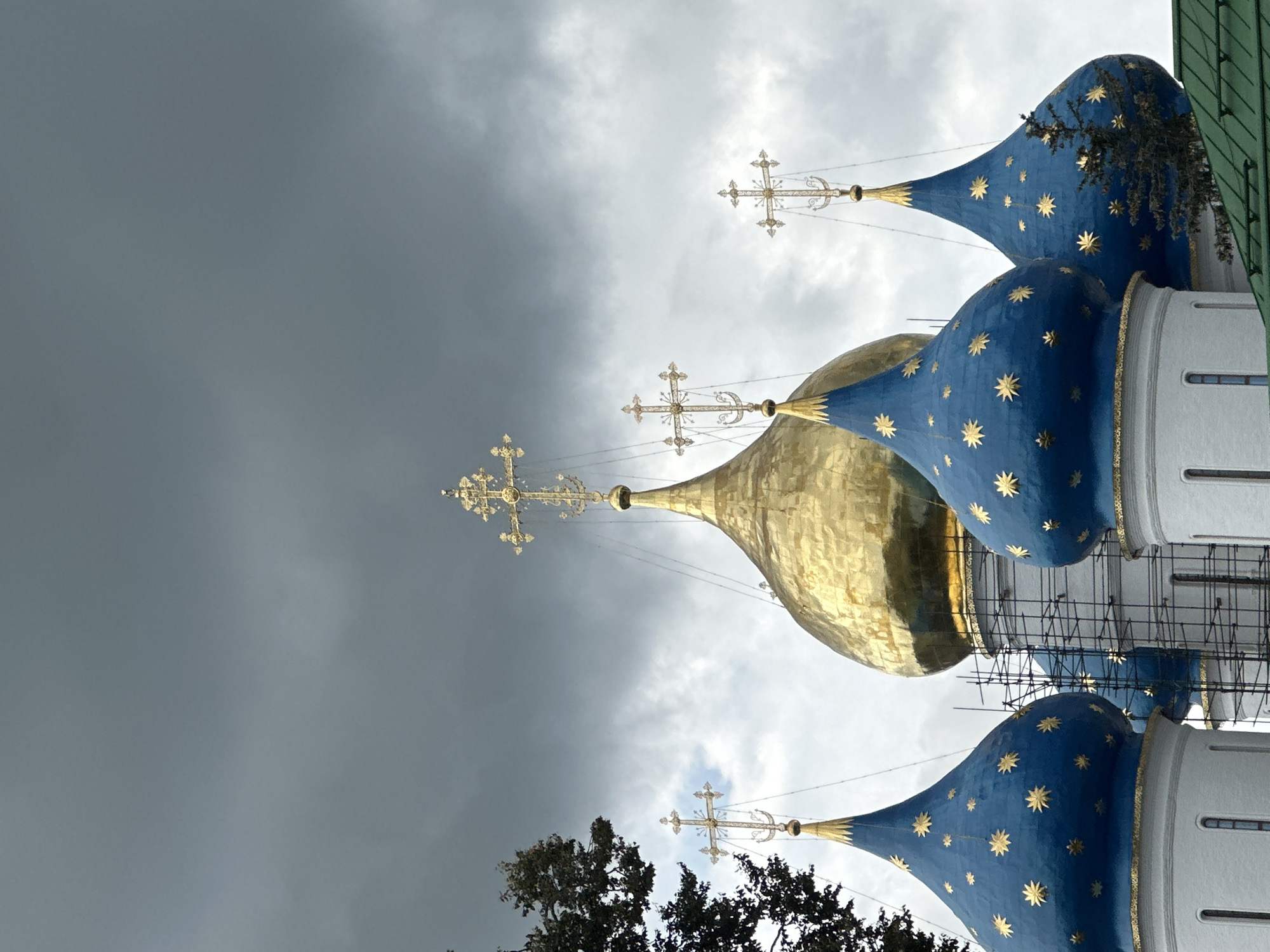The image shows the domes of the Trinity Lavra of St. Sergius in Sergiev Posad, Russia. The domes are painted a vibrant blue and adorned with gold stars, except for the central dome which is gilded in gold. Each dome is topped with a golden cross. The sky above is overcast and gray. Construction scaffolding is visible on the central dome, indicating ongoing renovation or maintenance. A portion of a tree with dark green foliage is visible on the left side of the frame, and another evergreen tree is partially visible on the right. The lower sections of the domes are white.