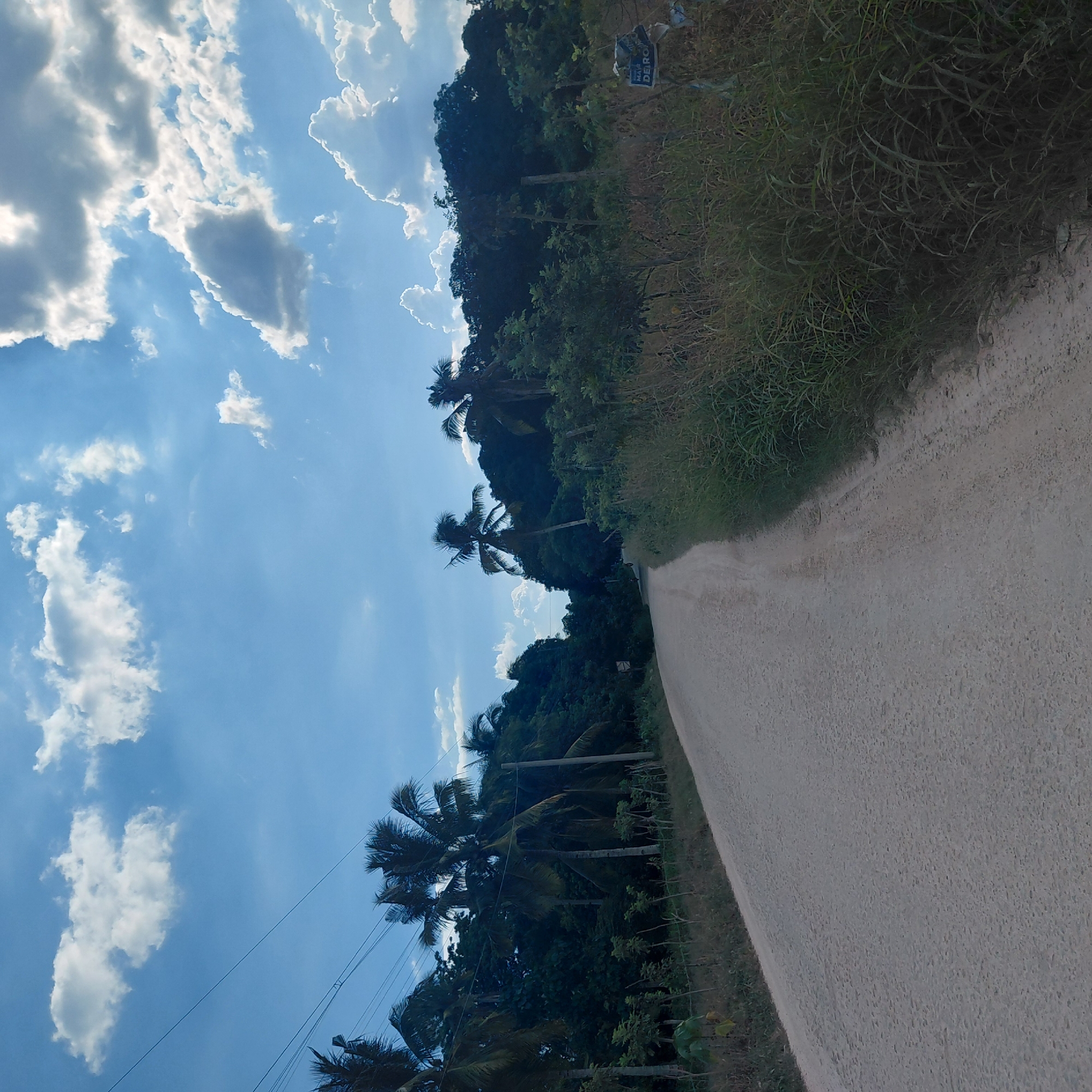 The image depicts a dirt road in a rural area, likely in Samal, Philippines, flanked by lush vegetation and palm trees under a bright, cloudy sky. The road is unpaved and appears to be a well-traveled path, curving gently into the distance. On the right side of the road, tall grasses and dense foliage line the edge, with a small blue and white sign partially obscured by the plants. On the left side of the road, a line of palm trees and other trees forms a dense green barrier, with power lines visible overhead. The sky is a vibrant blue, punctuated by large, puffy white clouds, suggesting fair weather. The overall impression is one of a peaceful, natural setting away from urban congestion.