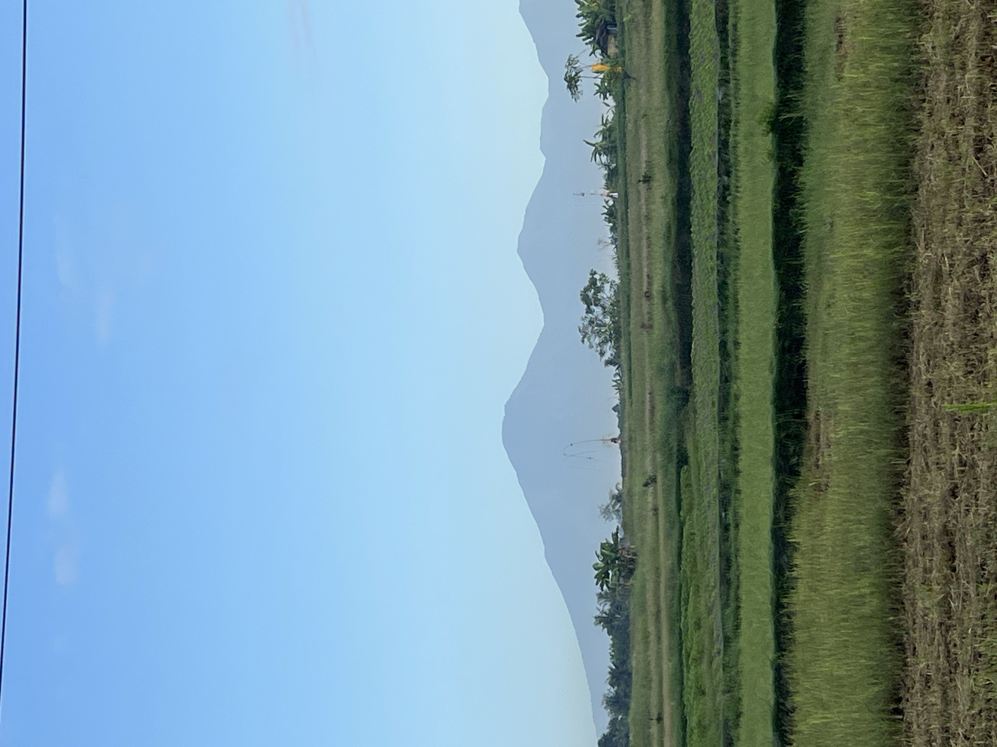 The image depicts a serene landscape in Abiansemal, Indonesia, dominated by lush green rice terraces and a prominent mountain range in the background. The sky is a clear, pale blue, with a thin, dark line, likely a power line, stretching across the top. In the foreground, dry, harvested rice stalks lie in patches, transitioning into neatly cultivated, layered rice paddies. The middle ground features more vibrant green rice fields, interspersed with tropical vegetation such as banana trees and palms. A tall, slender white structure, possibly a communication tower or a decorative pole, stands amidst the greenery. A small, traditional Balinese hut with a yellow roof is visible to the right. The distant mountains are shrouded in a soft haze, creating a sense of depth and tranquility. There are no visible people or animals in the frame. The overall impression is one of rural beauty and peaceful coexistence with nature.