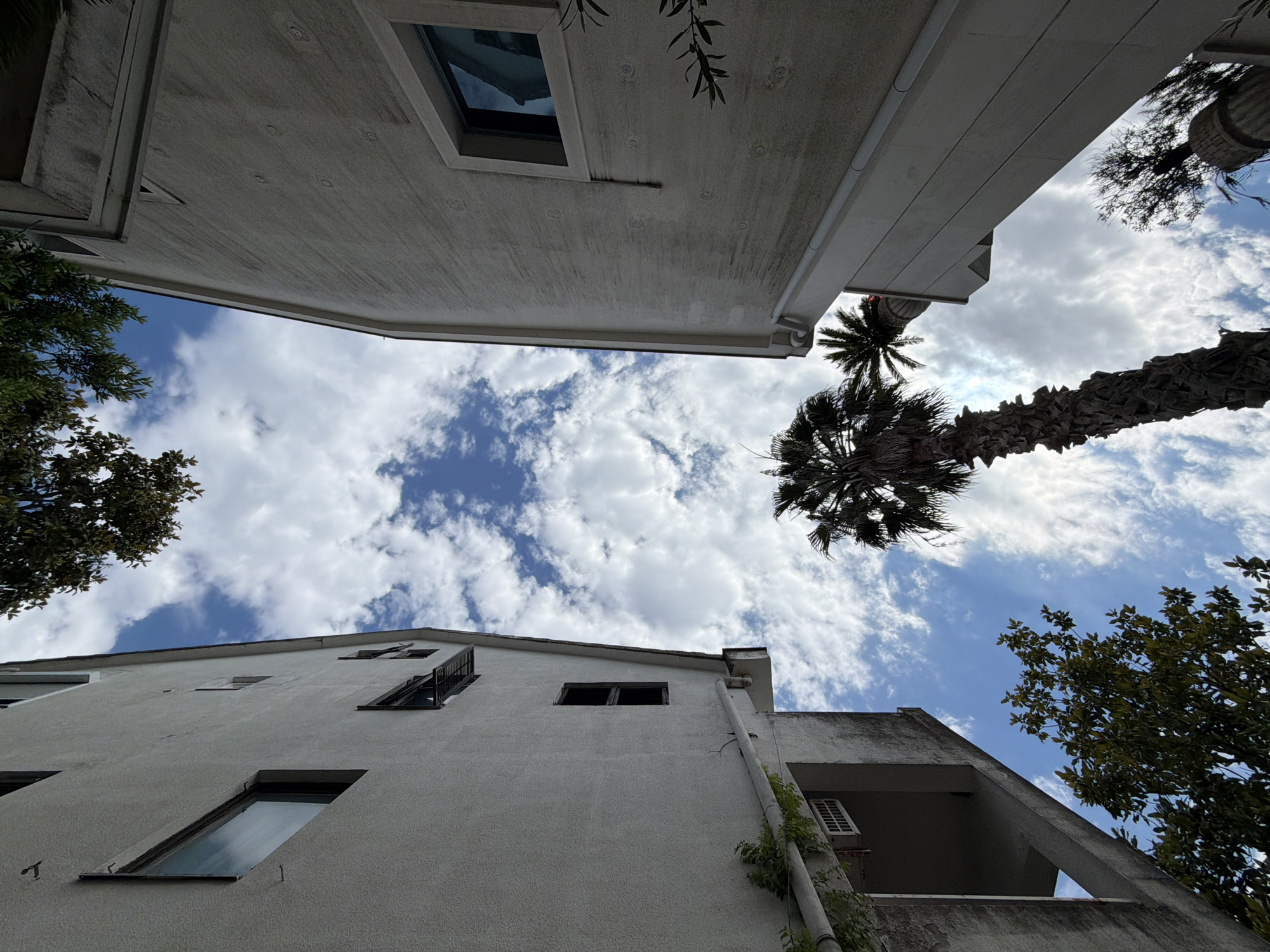 The image, taken from a low angle, showcases the urban environment of Budva, Montenegro. Buildings with off-white exteriors frame a view of the sky, which is filled with scattered white clouds against a bright blue background. The architectural style of the buildings is modern with rectangular windows. Some windows are open, while others are closed. Vegetation, including palm trees and deciduous trees, is interspersed throughout the scene. The palm trees, with their characteristic fronds, contrast with the denser foliage of the other trees. The lighting suggests a sunny day with shadows cast by the buildings and trees. An air conditioning unit is visible on one of the buildings. There are no people depicted in the image.