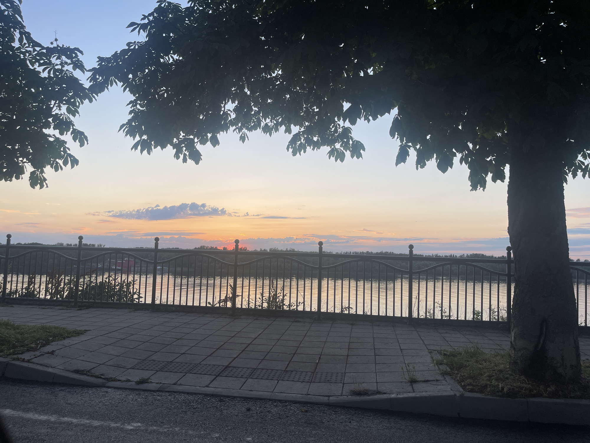 This image depicts a sunset over the Danube River in Ruse, Bulgaria. The foreground features a paved walkway with a metal railing separating it from the river. A large tree stands on the right side of the frame, its branches extending over the walkway. The river is calm, reflecting the colors of the sunset, which paints the sky with hues of orange, pink, and blue. Silhouettes of trees and buildings can be seen on the opposite bank. The scene is serene and tranquil, characteristic of an evening stroll along the Ruse waterfront.