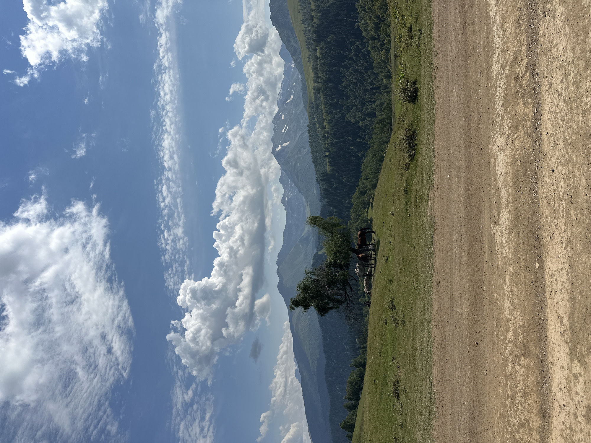 The image depicts a vast mountain landscape in Lunnaya Polyana, Russia, under a partly cloudy blue sky. In the foreground, a dirt road stretches across the frame. The midground features a lush green meadow with several horses grazing near a solitary tree. Beyond the meadow, rolling hills covered in dense green forest ascend towards majestic, snow-capped mountains in the background. The overall scene conveys a sense of natural beauty and tranquility.