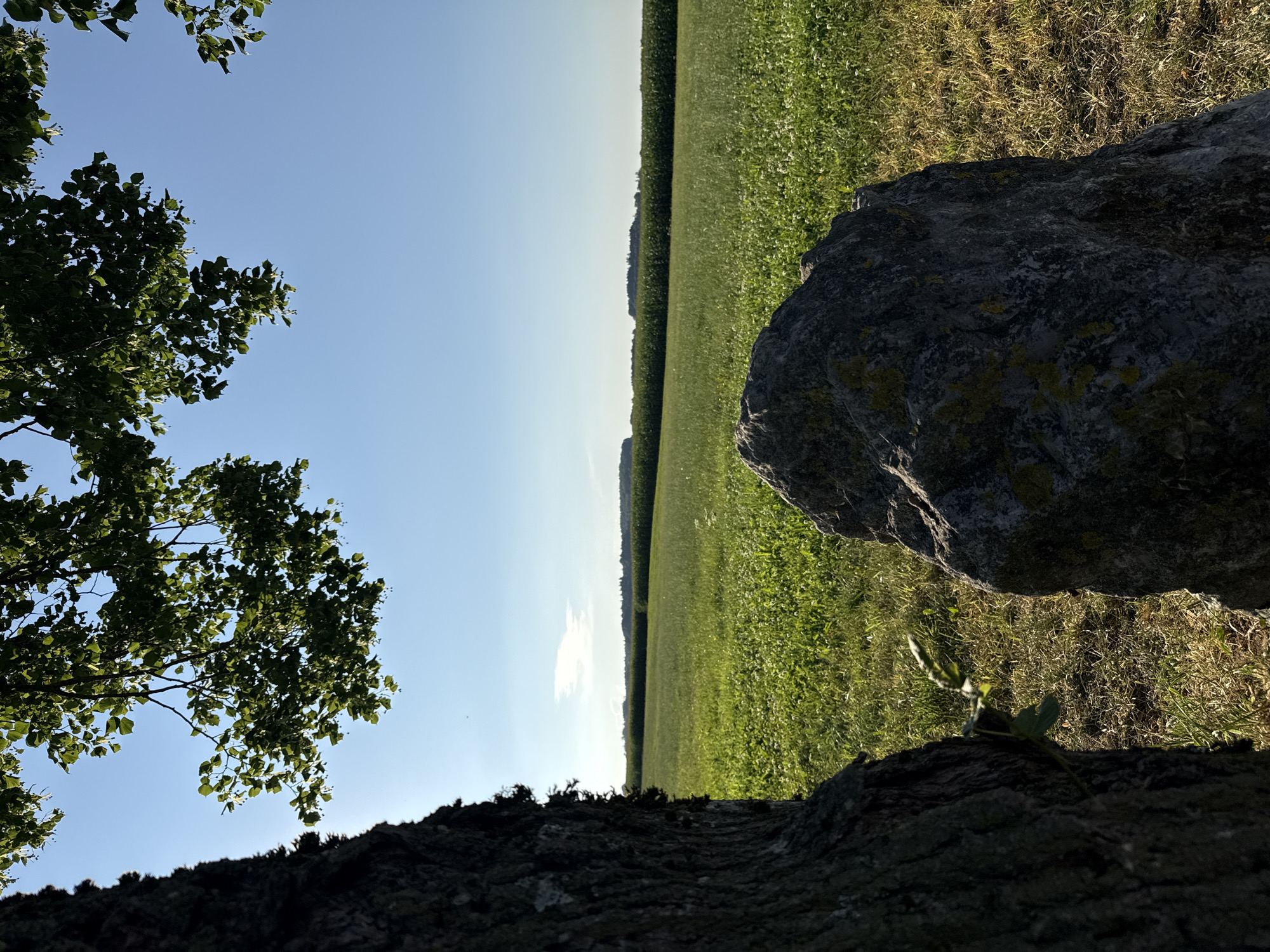 In the foreground, a textured tree trunk occupies the left side of the frame, partially obscuring a large, grey boulder in the lower right quadrant. The boulder is speckled with patches of green lichen. Behind these elements, a vibrant green field stretches into the distance, bordered by a line of trees on the horizon. Above, the clear blue sky is partially filled with the leafy branches of a tree. The scene appears to be an outdoor landscape, possibly in a rural area, given the field and open sky. The lighting suggests it is daytime, with the sun illuminating the scene. The location is identified as Rimsting, Germany. There are no people or animals visible in the image.