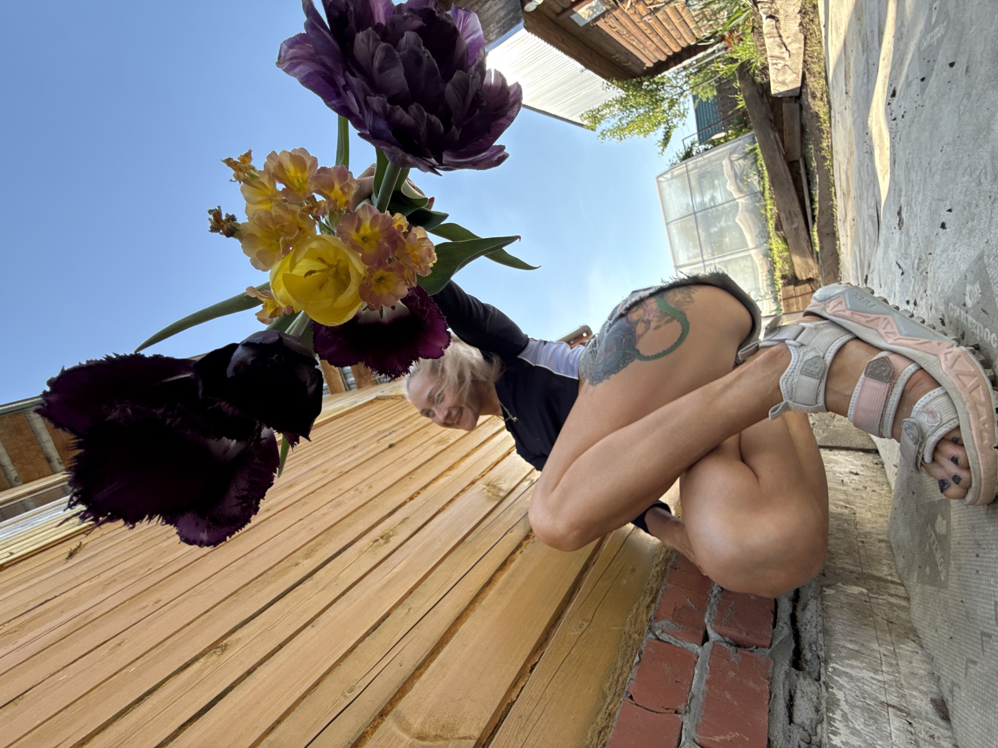 A woman with blonde hair and a tattoo on her hip is squatting on a brick ledge adjacent to a wooden structure, holding a bouquet of purple and yellow tulips against a blue sky. She is wearing a black and white athletic top and grey sandals with pink accents. The scene appears to be an outdoor area, possibly a backyard or garden, within the city of Chaikovsky, Russia, as indicated by the prompt. Behind the woman, elements of an outdoor environment, including a greenhouse and a corrugated metal roof, are visible.