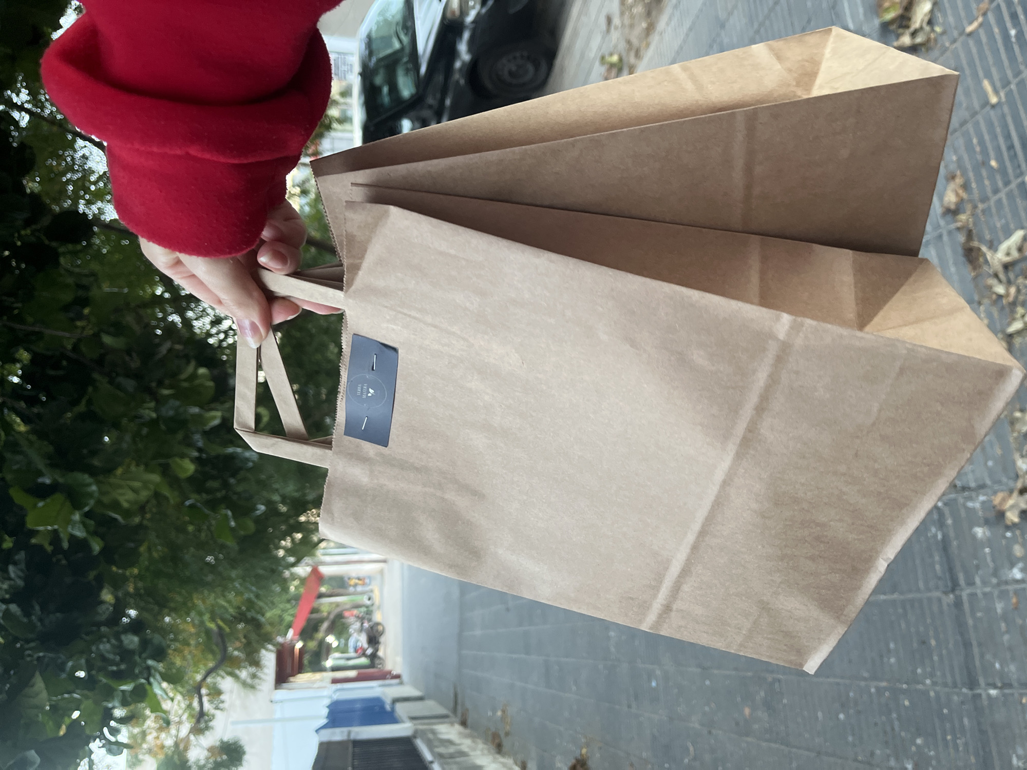 A person wearing a red sweater holds two brown paper bags with handles. One bag has a dark blue rectangular sticker with white text/graphic, possibly a logo. The background shows an urban street with trees, buildings, and parked cars. The location is San Fernando del Valle de Catamarca, Argentina. The ground appears to be a tiled sidewalk or walkway with debris.