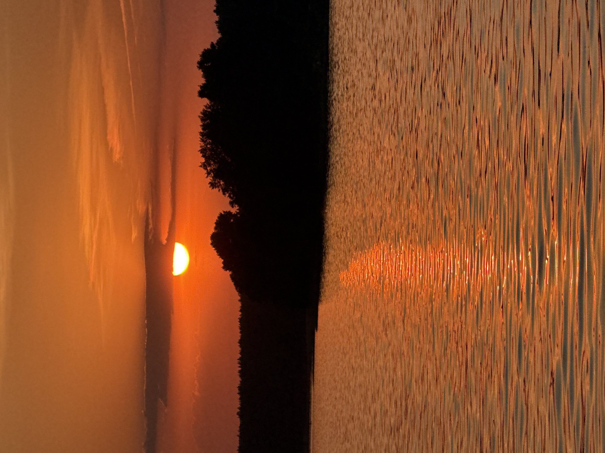 The image depicts a sunset over a body of water, likely a lake or river. The sun is partially obscured by clouds and silhouetted trees on the horizon, casting an orange and golden glow across the sky. The water surface is rippled, reflecting the sunlight in long, vertical streaks. The location is possibly in or near Votkinsk, Russia, although there is no specific visual element to confirm this; the scene is generalized. The dominant colors are orange, gold, and dark silhouettes of trees and foliage. There are no people visible in the image. The overall impression is of a serene and natural environment at twilight.