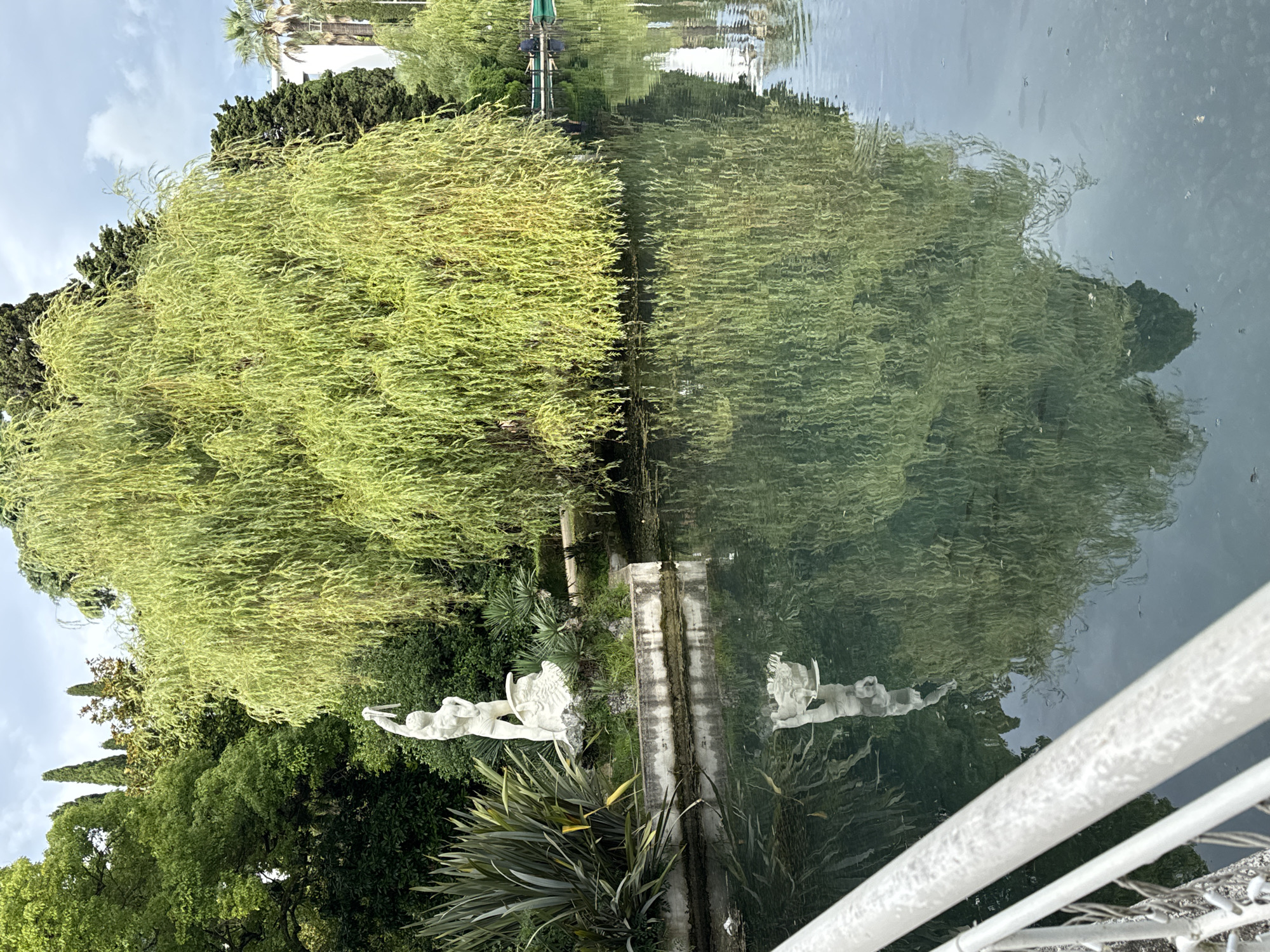 The image depicts a serene outdoor scene in New Athos, Abkhazia. In the foreground, a white metal railing runs diagonally across the frame, partially obscuring the view. Beyond the railing, a body of water, likely a lake or pond, reflects the surrounding environment. To the left of the water, a white marble statue of a muscular male figure stands on a stone pedestal adorned with greenery. The statue is positioned near a concrete wall bordering the water.
Dominating the background is a large, weeping willow tree with vibrant green foliage, its branches cascading towards the water. Behind the willow, various trees, including tall cypress-like evergreens and palm trees, create a lush, verdant backdrop under a cloudy sky. The reflection of the statue and the weeping willow is clearly visible on the calm surface of the water, creating a symmetrical effect. A small green boat is docked on the far side of the water, adding a subtle human element to the tranquil landscape. The overall impression is one of natural beauty and peaceful contemplation within a well-maintained park or garden setting.