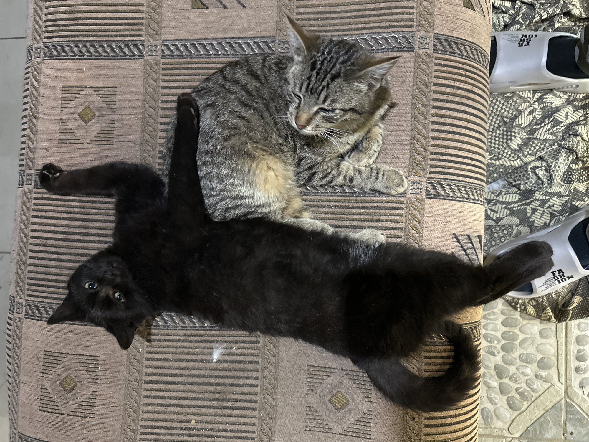 The image shows two cats resting on a patterned fabric surface, possibly a couch or cushion. One cat is black and lying on its back, with its legs extended in opposite directions and its eyes open. The other cat is a tabby, resting curled on top of the black cat with its eyes closed. Part of a white shoe is visible in the background on a surface textured to look like pebbles. The location is not identifiable as Kursk, Russia, from the image provided.