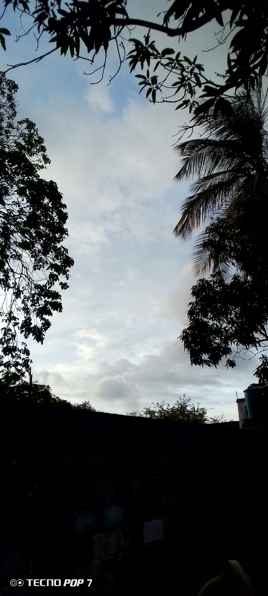 The image captures a silhouetted view of trees against a cloudy sky, framed by foliage. In the foreground, a dark, dense area obscures details of the ground and any objects present. Above this dark area, a low wall or embankment is visible. The sky is filled with diffused light and scattered clouds, suggesting either dawn, dusk, or an overcast day. On the right side, part of a building and a water tank can be seen in silhouette. The lower portion of the image contains the "TECNO POP 7" watermark. The image does not provide specific details to indicate its location in Altagracia, Venezuela, beyond what might be inferred from general vegetation and construction common in urban or semi-urban tropical environments.