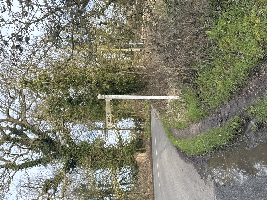 The image displays a rural road junction in North Norfolk, United Kingdom. A weathered white wooden fingerpost sign, topped with a spherical finial, stands on the right side of the frame. Its single visible arm points left, inscribed with the black capitalized word "CHURCH." To the left of the sign, a narrow, muddy dirt path runs parallel to an asphalt road that curves sharply to the left in the foreground. A significant puddle of water occupies the immediate edge of the road, reflecting the overcast sky and surrounding trees. The background and right side of the scene are densely vegetated with numerous deciduous trees, many extensively covered in dark green ivy, alongside undergrowth comprising green grass, dried brush, and brambles. A small, indistinct blue sign is partially visible through the foliage in the mid-ground on the right. The sky overhead is light and overcast. No individuals, animals, or vehicles are present.
