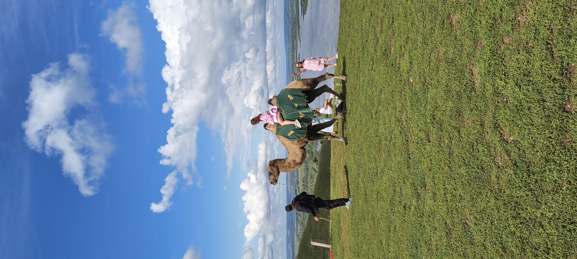 A camel with two riders, a person in a pink top and shorts on its back and another person in a pink shirt and shorts standing next to it, is the central subject in this outdoor scene. The camel is adorned with a green saddle blanket embroidered with gold trim. A man in a black jacket and dark pants stands to the left, holding a rope attached to the camel's halter. In the foreground, a dense, low-lying green ground cover stretches across a grassy hill. In the middle ground, a river flows past a distant tree-lined landscape under a blue sky dotted with white clouds. A person is seated on the ground to the right of the camel.