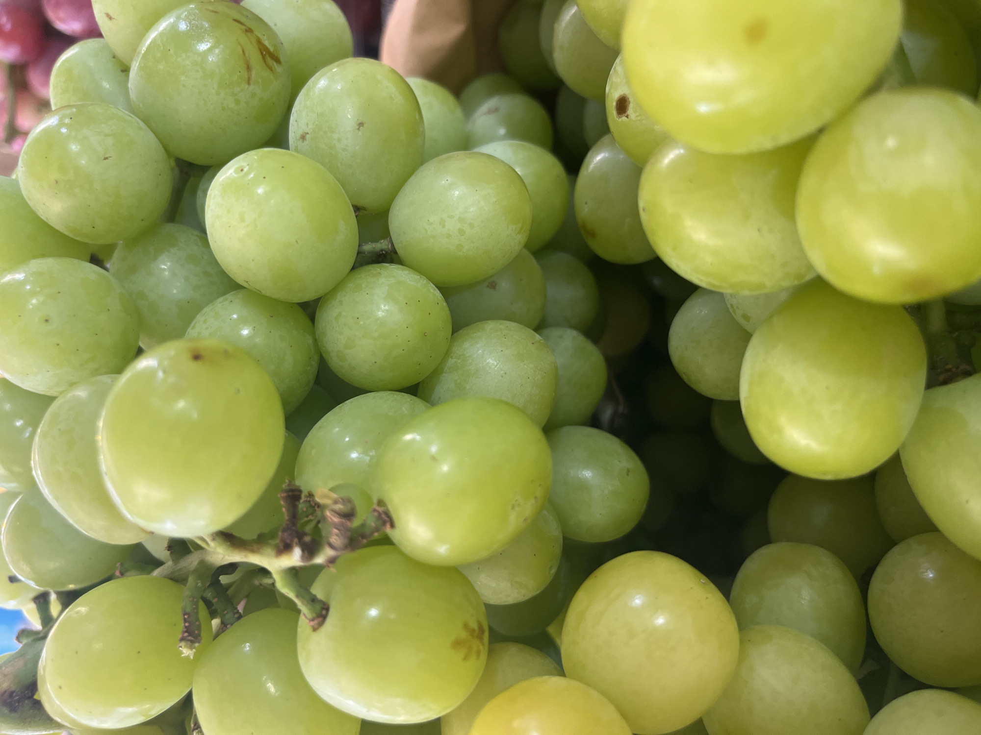 A close-up, high-angle shot showcases a cluster of ripe green grapes, their skin smooth and slightly translucent, reflecting ambient light. Some grapes exhibit subtle blemishes or variations in color, hinting at their natural state. The stems, woody and brown, weave through the fruit, creating a dense, organic arrangement. The background is softly blurred, with hints of other produce and possibly a brown paper bag, suggesting a market or grocery store setting. The image does not depict any specific location within Bac Nha Trang Ward, Vietnam, nor does it show any people, actions, or interactions.
