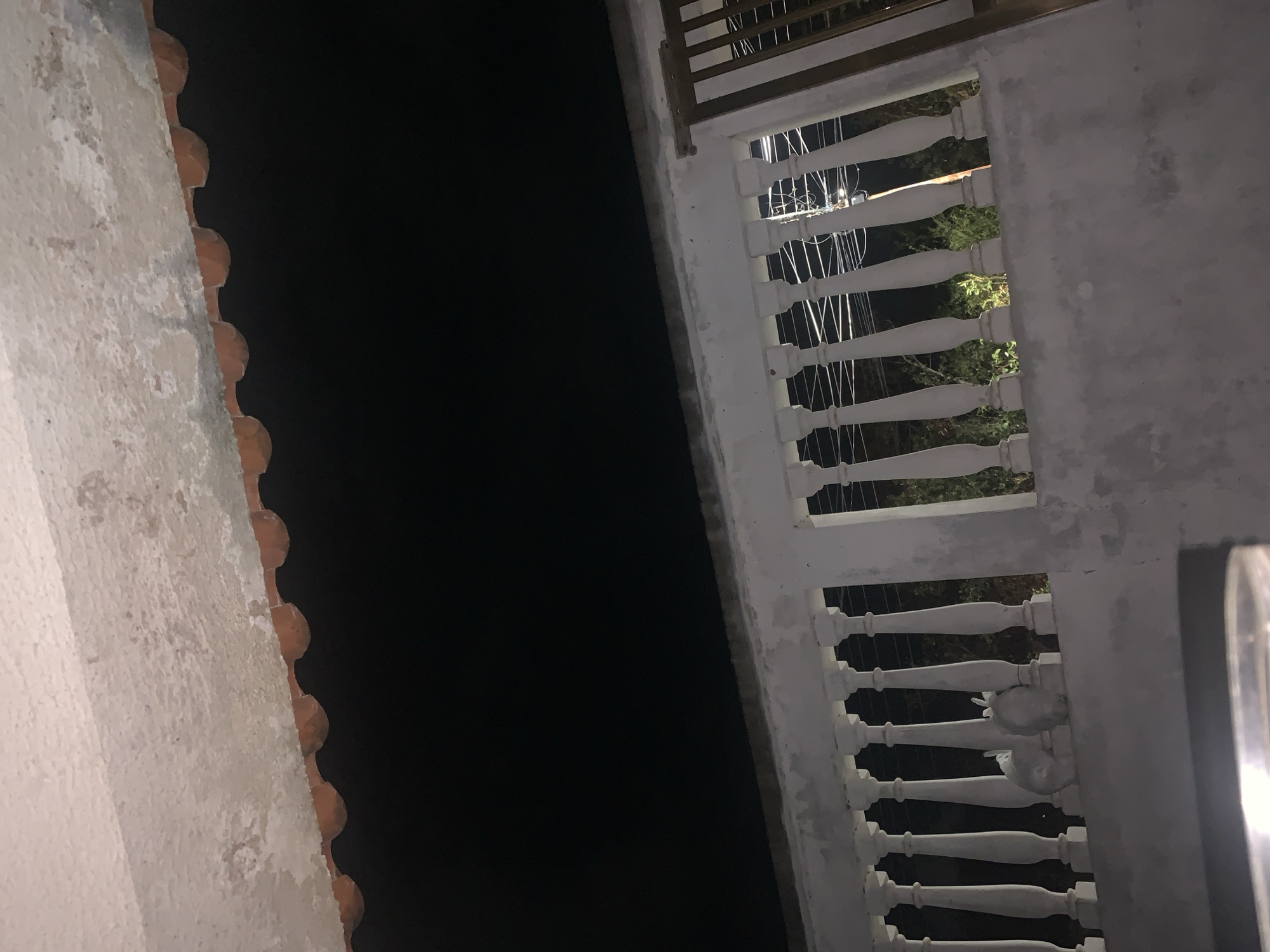 This nocturnal image presents an architectural perspective, possibly captured from a low angle looking upwards or a slightly downward glance. On the left side, a light-colored, rough-textured wall features a series of terracotta-colored, rounded elements along its edge, reminiscent of decorative roof tiles or architectural moldings.
The right side of the frame is dominated by a white balustrade, consisting of multiple classically-shaped balusters, adjacent to a plain, light-toned wall. Through the gaps in the balustrade, a dark outdoor environment is visible, illuminated by sparse artificial lights. This background includes indistinct green foliage, suggesting trees or shrubs, and faint outlines of structures like utility wires or poles, all set against a deep, dark night sky that occupies much of the central and upper-left portions of the image.
The time of day is clearly night, with minimal light sources casting soft, diffuse illumination on the architectural elements. No specific weather conditions are discernible, and the sky appears clear. There are no people visible, and no discernible activity is taking place. No text is present in the image. The scene offers a quiet, static view of a building's exterior at night in Santa Ana, Venezuela, highlighting the interplay of architectural forms and the enveloping darkness.