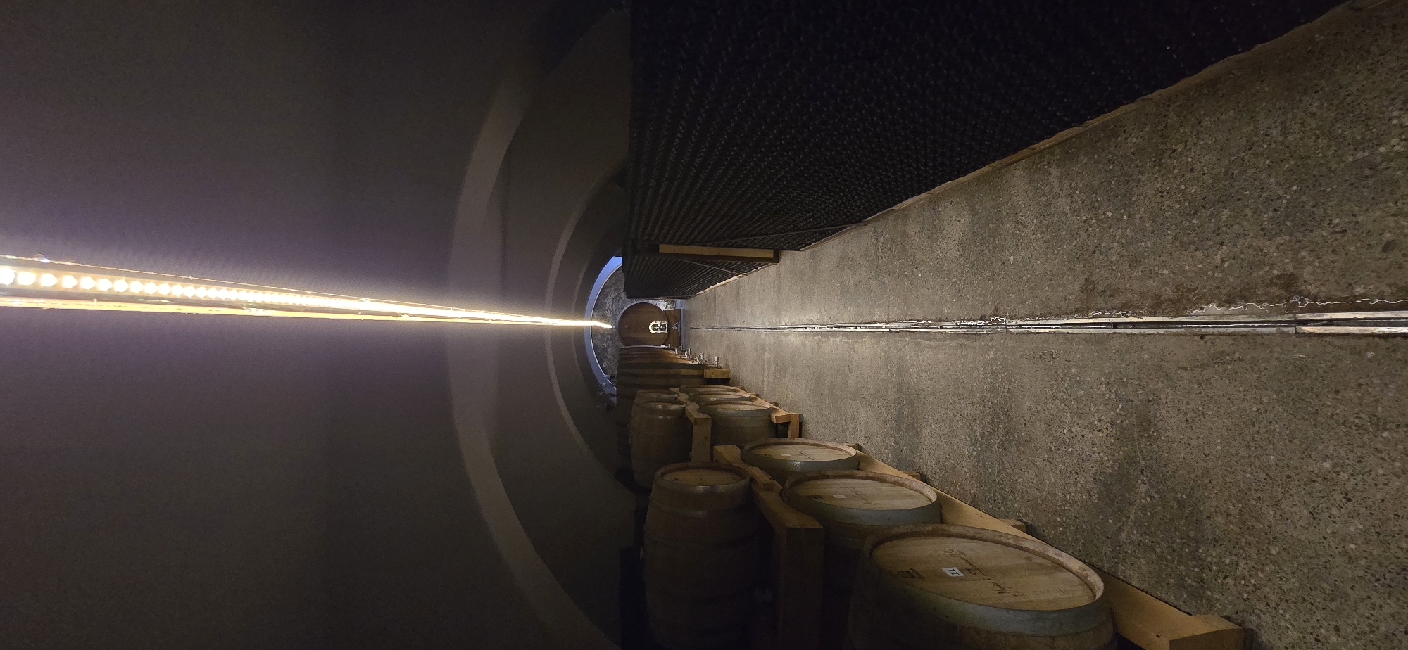 The image depicts a wine cellar, possibly in Blinisht, Albania, based on the subject matter. A row of wooden wine barrels lines the right side of the frame. They are resting on wooden supports. A concrete wall rises behind the barrels. Above the concrete wall is a dark ceiling with a textured surface. On the left is a curved wall, likely forming a tunnel. A line of lights runs along the top of this curved wall, stretching into the distance. At the end of the tunnel, a small wooden door is visible.