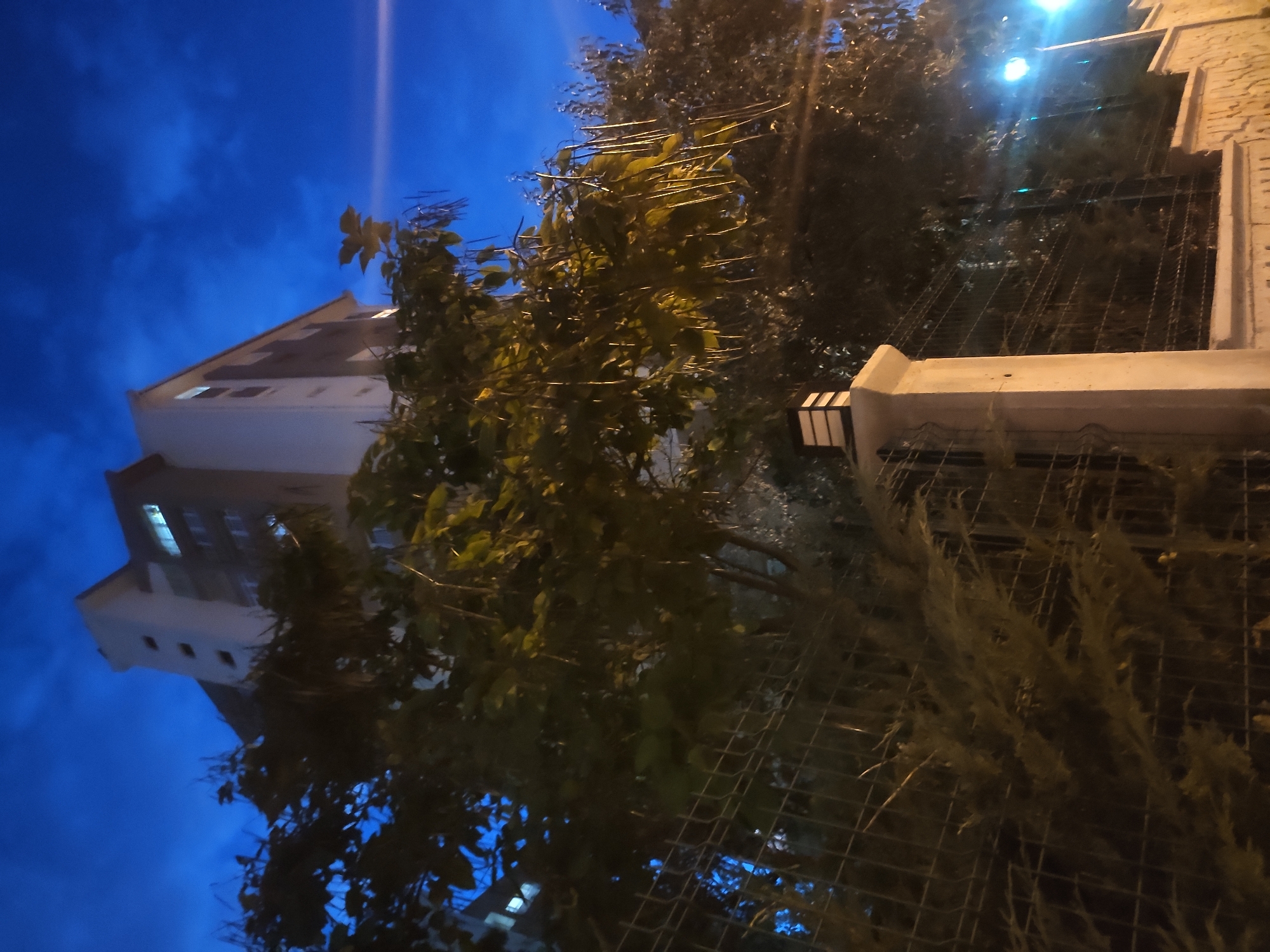 The image depicts a multi-story building with a dark blue sky and clouds at dusk or night. The building has white and gray sections, with windows illuminated from within. In the foreground, there is a black metal fence and lush green trees with long, dangling seed pods. A concrete pillar with a light fixture stands next to the fence. The scene appears to be in a residential area.