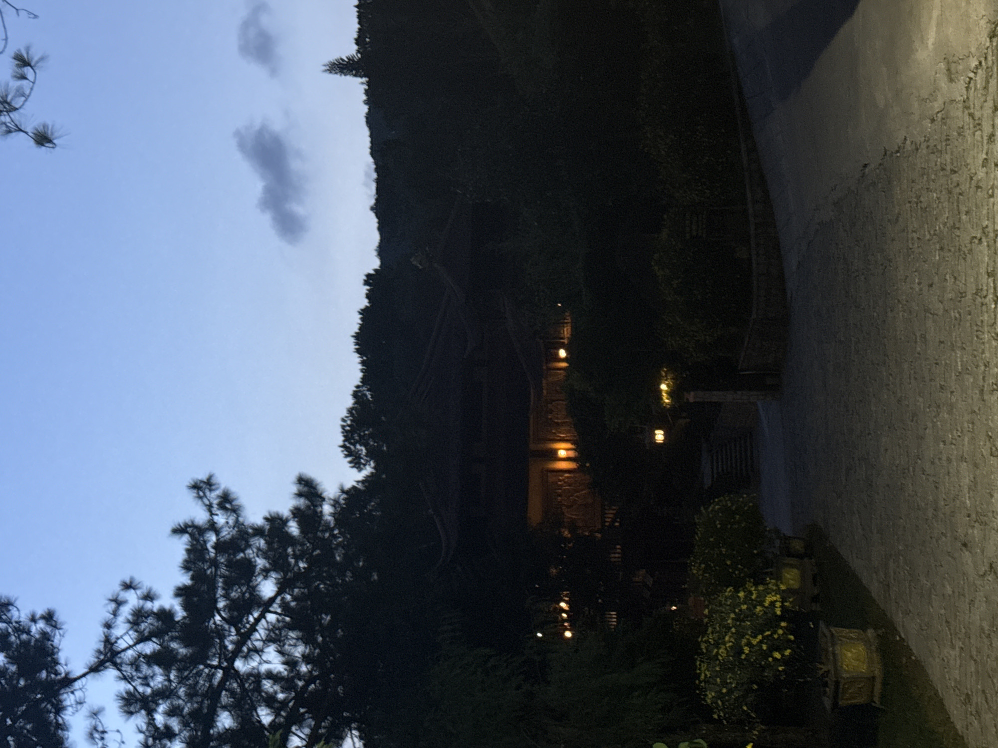 The image depicts an unpopulated evening scene in Da Lat, Vietnam. The sky is a dark blue, featuring two small, isolated dark clouds in the upper right. A dark silhouette of a pine tree branch, with discernible needles, extends into the upper left corner. A light-colored, patterned paved path, possibly cobblestone, occupies the lower half of the frame, curving slightly to the right as it recedes. To the left of this path, three ornate, rectangular planters hold densely clustered yellow flowering plants, likely chrysanthemums, which are brightly illuminated by an unseen light source. Behind these plants and further up the slope, dense, dark green foliage obscures much of the midground. Through this vegetation, a multi-tiered, dark-roofed building, consistent with traditional Vietnamese architecture, is partially visible. Its interior is brightly lit with warm orange light, revealing a wall adorned with detailed carvings or figures. Discreet artificial light sources are present among the dark trees surrounding the building. The background consists of a steeply rising, densely forested hillside, crowned by a distinct, solitary, slender evergreen tree silhouetted against the horizon. The overall lighting is dim, indicating either dusk or nighttime conditions with specific areas illuminated by artificial light.