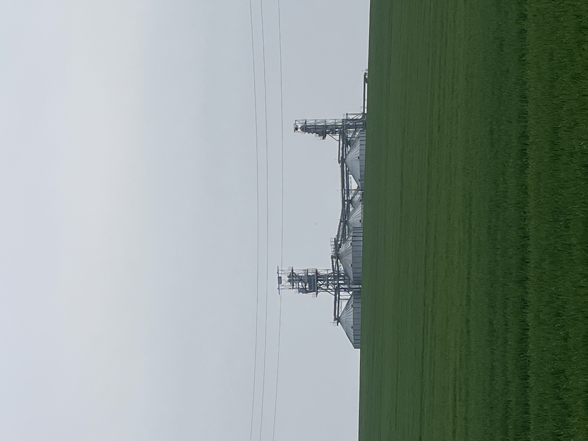 The image depicts a grain storage facility on the edge of a field. The silos and associated metal structures are situated next to a large, green field, likely containing crops. Power lines run parallel to the structures and the field. The sky is overcast and gray. Based on the request, the location is in Razgrad, Bulgaria.