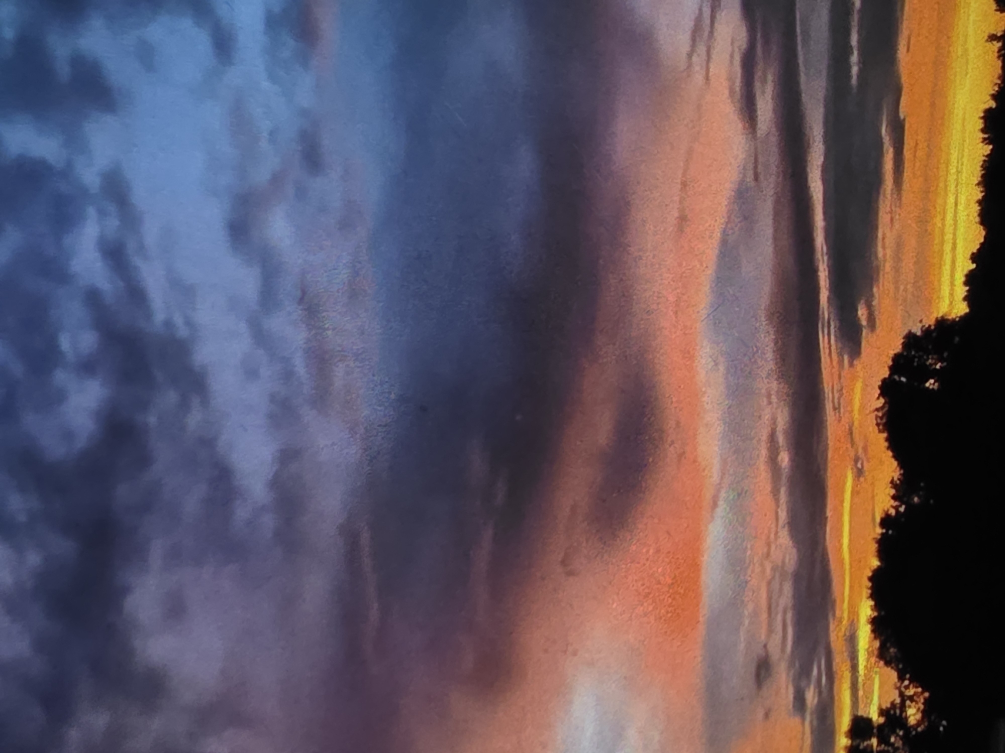 The image depicts a dramatic sky filled with clouds at sunset or sunrise. The sky transitions from deep blues and purples at the top to vibrant oranges and yellows closer to the horizon. Dark silhouetted trees form a dense line along the bottom of the frame, indicating a natural landscape or park area within the city. The lighting suggests dusk or dawn, casting a warm glow over the scene. No people or specific landmarks of Dubno, Ukraine are identifiable.