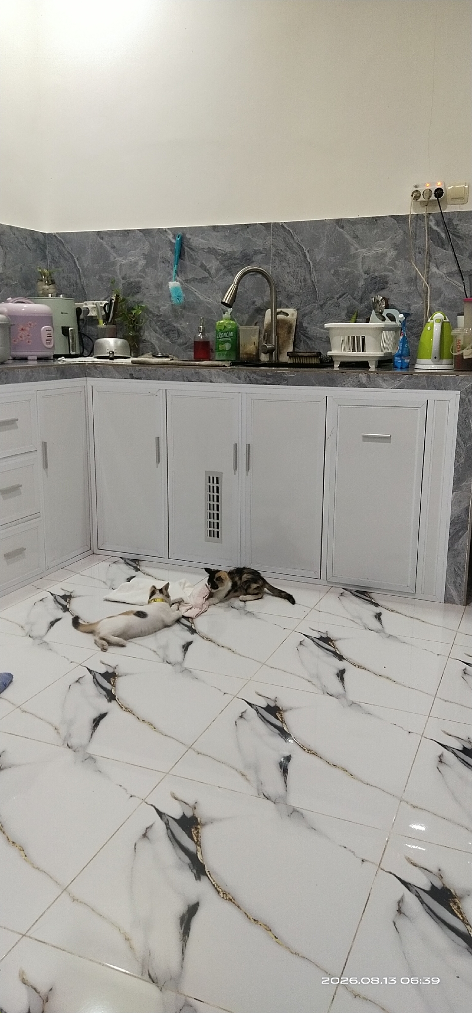 The image shows a kitchen area with white cabinets and a marble-patterned tiled floor. Two cats are lying on a pink and white cloth on the floor in the foreground. One cat is white with black and brown patches and is lying on its side, while the other cat is calico and is lying on its side and front. In the background, there is a kitchen counter with a sink, faucet, various kitchen appliances, and cleaning supplies. The wall above the counter is tiled with a grey marble pattern. There are electrical outlets and a power strip visible on the wall. The overall environment appears to be an indoor residential kitchen. The timestamp on the image indicates August 13, 2026, at 06:39. There is no explicit indication of the location being in Matabu, Indonesia.