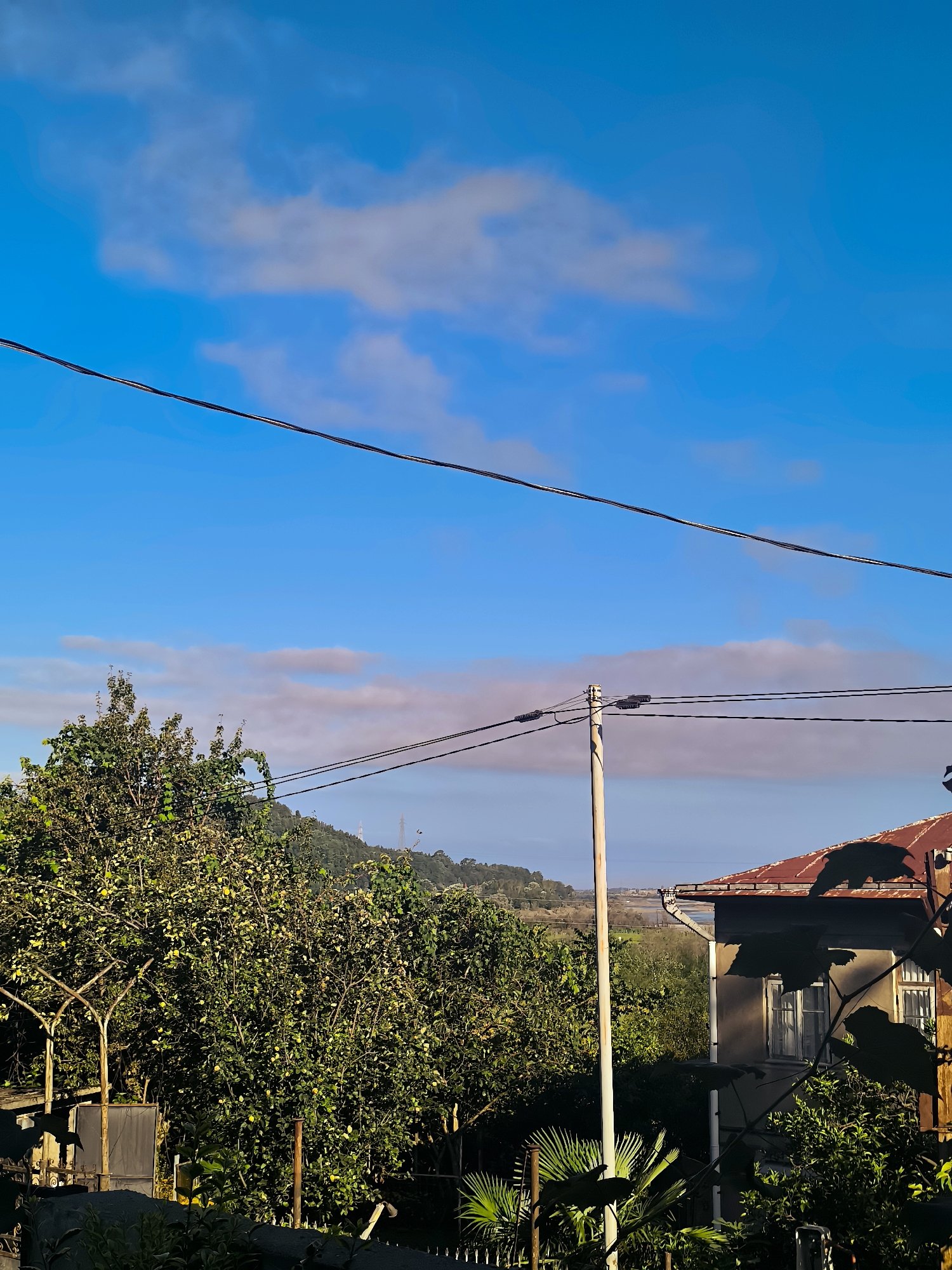 The image captures a view from a property in the city of Makho, Georgia, looking outwards towards a slightly hazy landscape under a bright blue sky with scattered clouds. In the foreground, a large, leafy tree dominates the left side of the frame, its branches laden with small, yellow fruits, suggesting it might be a citrus tree. To the right, the corner of a building with a reddish-brown corrugated metal roof is visible, along with part of its gray facade and windows. A prominent wooden utility pole stands near the center, supporting multiple electrical wires that stretch across the sky. The middle ground features more greenery and vegetation, leading to a distant view of rolling hills and what appears to be a body of water or a marshy area. The overall scene suggests a rural or semi-rural setting within Makho, characterized by natural elements and residential structures.