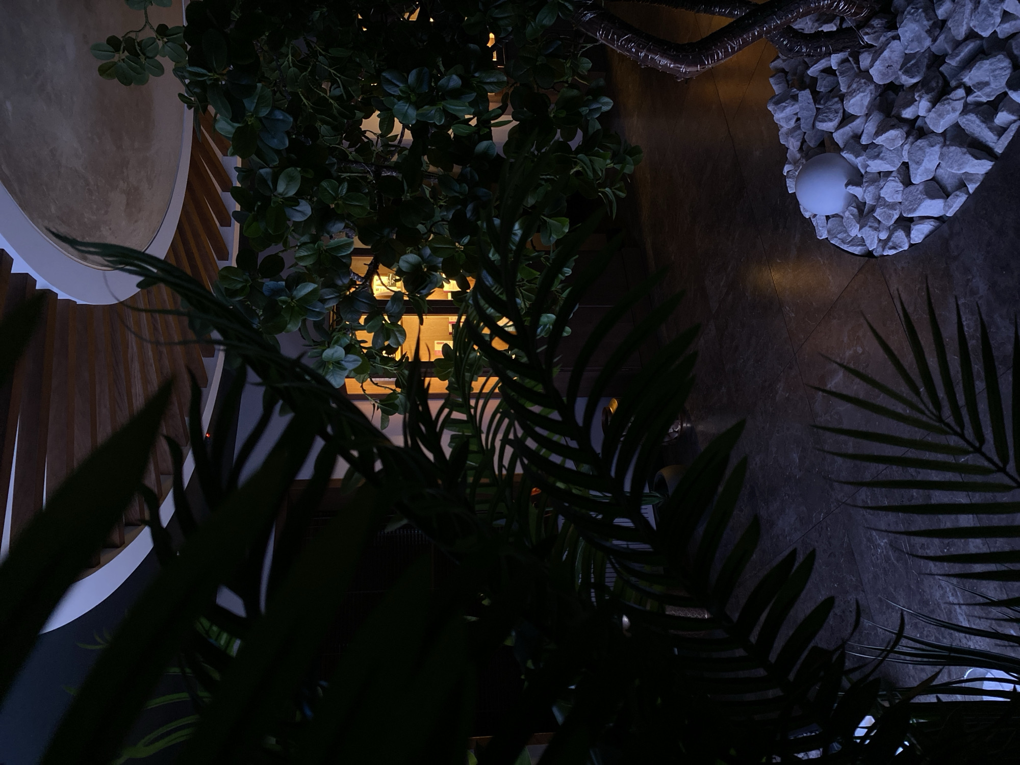 The image depicts an indoor scene with an interior design incorporating natural elements. The lighting is subdued, focusing on accent lights.
On the left is a circular wall element, likely part of an architectural feature, with wooden slats and a white border. Green foliage is prominently featured, with branches and leaves obscuring parts of the background.
In the upper right, there is a pile of gray stones surrounding a white spherical lamp. A dark, metallic pipe or conduit is visible above the rocks. The floor is dark and appears to be tiled.
The scene is framed by palm-like fronds in the foreground, which adds depth and creates a sense of being within a lush, indoor environment.
The image does not contain any identifiable people or any indication of a specific location in Votkinsk, Russia.