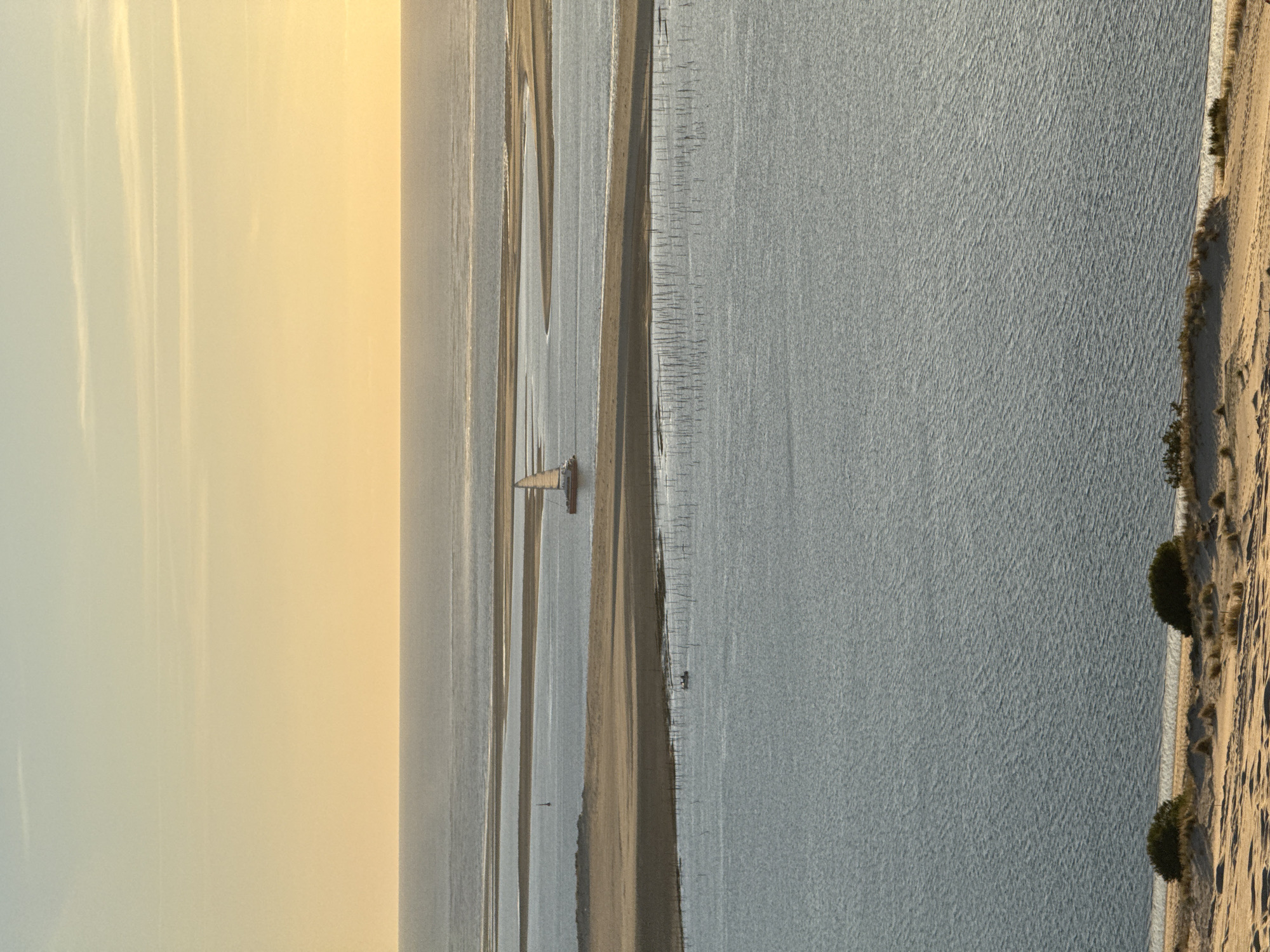 The image depicts a tranquil coastal landscape at sunset, likely in the Arcachon Bay area near La Teste-de-Buch, France. The horizon is dominated by a gradient of soft yellow and orange hues in the sky, transitioning to a pale blue. The sea is a calm, muted blue, with gentle ripples reflecting the sky.
In the midground, a sandbar or shallow sandbanks emerge from the water, creating intricate patterns of light and shadow. A white sailboat with a red hull is visible in the distance, gliding across the water, its sail catching the warm evening light. Another smaller dark shape, possibly another boat or a buoy, is positioned further to the left. Numerous slender posts or pilings, likely part of an oyster farm or marking a channel, are arranged in orderly rows in the water.
The foreground features a sandy dune area with sparse vegetation, including low-lying bushes and dry grasses. The sand shows textures of windblown patterns and some footprints. The overall atmosphere is serene and natural, highlighting the interplay of water, sand, and the soft glow of the setting sun.