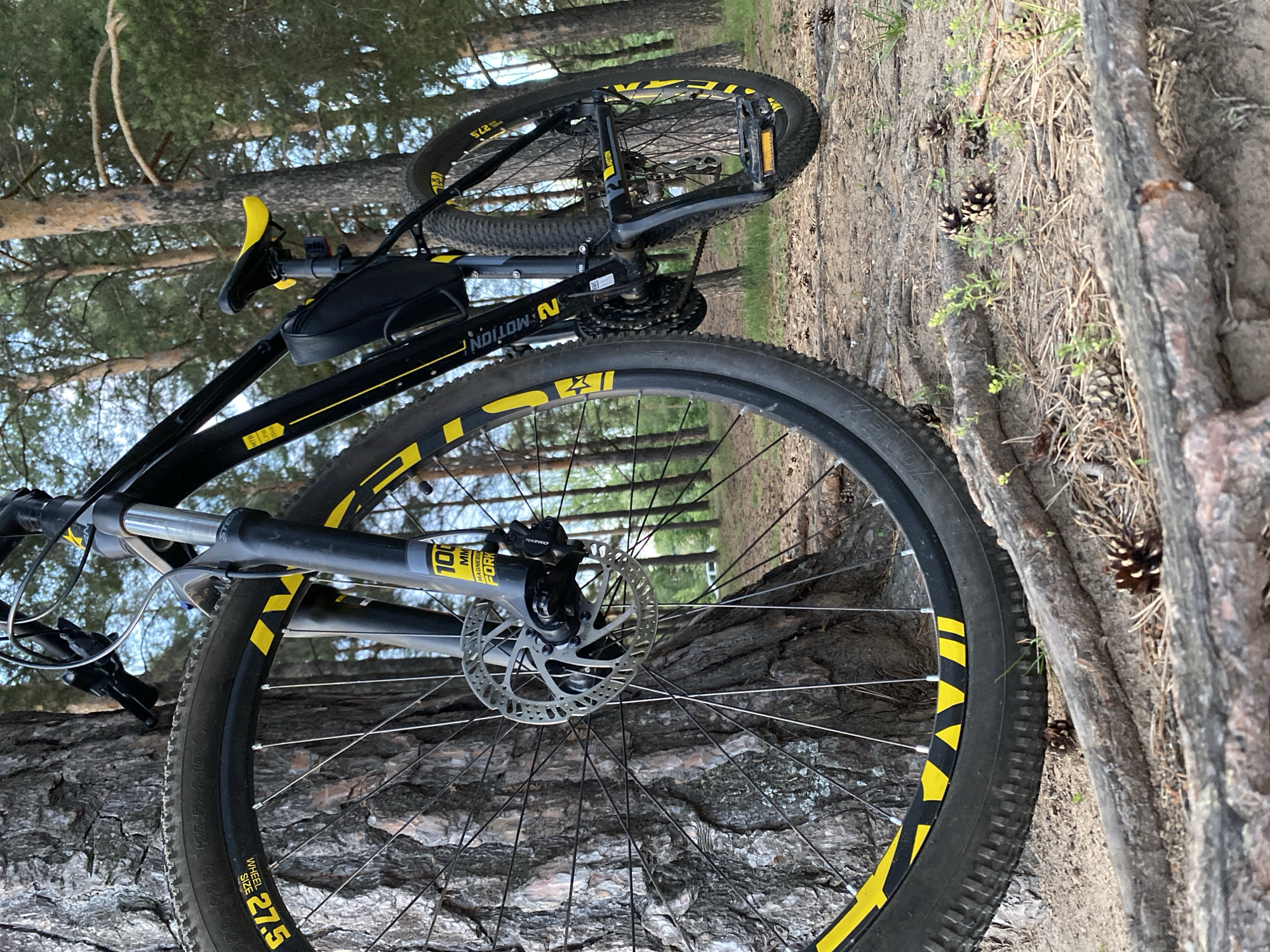 A black and yellow mountain bike is leaning against a large tree trunk in a forest. The bike has disc brakes and a suspension fork. The tires are thick and knobby, indicating off-road use. The bike is equipped with a small black saddlebag. The surrounding environment is a pine forest with sandy ground covered in pine needles and cones. The lighting suggests it is daytime, possibly late afternoon due to the long shadows. The image appears to be taken from a low angle, emphasizing the size of the bike and the tree. There are no people visible in the image. The location is identified as Chaikovsky, Russia.