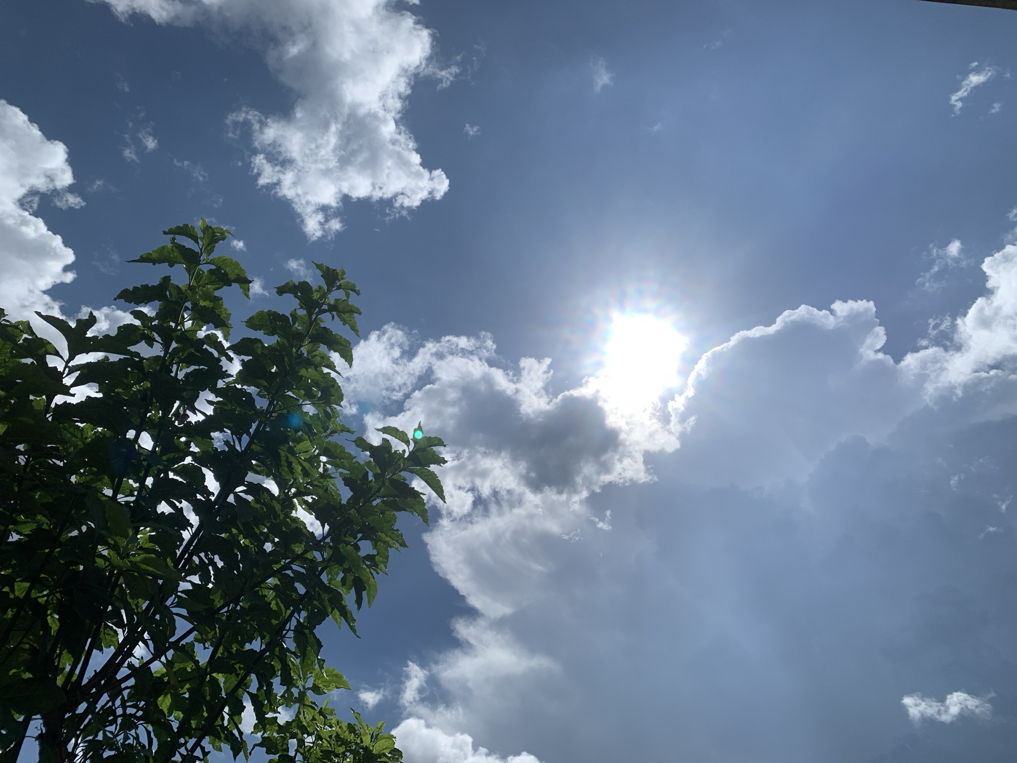 This is a low-angle shot of a leafy tree branch in the foreground, with a bright sun shining in the blue sky behind it. Several white clouds are scattered across the sky. The image appears to be taken in Kuru Karama, Nigeria. There are no people or specific actions depicted in the scene.