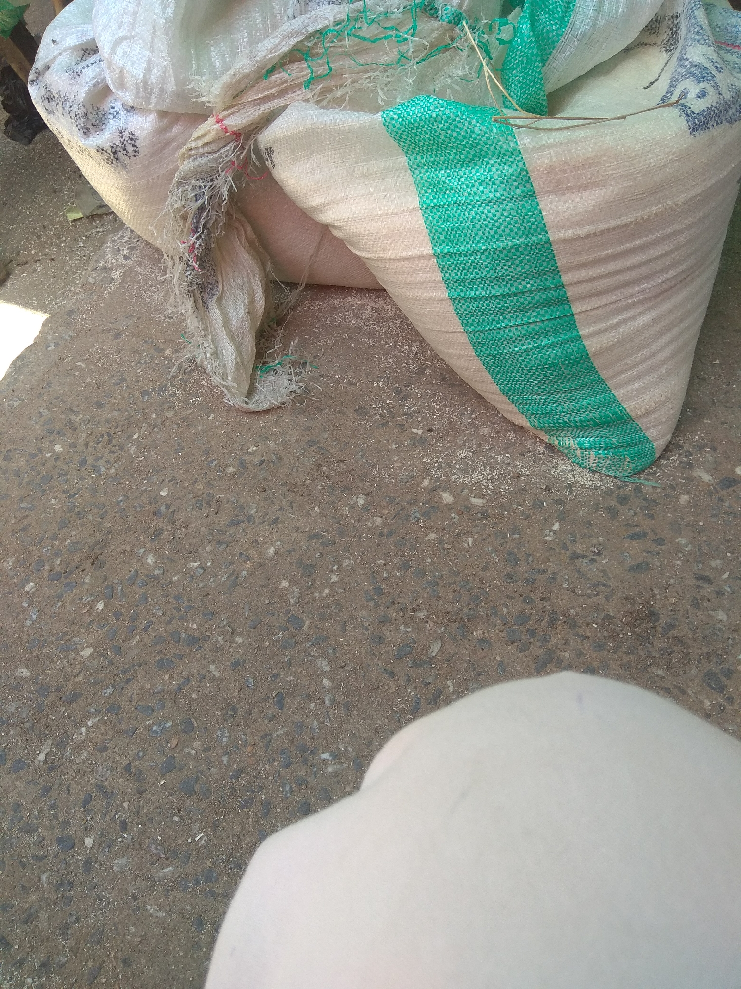 The image shows a close-up of two large sacks, likely containing grain or feed, resting on a paved surface. One sack is predominantly white with a green band running across it, and it appears to be partially open, with some loose material spilled on the ground. The other sack, to the left, is also white and shows some black markings, possibly branding or identification. The sacks are tied with string, and there are loose threads and fraying at the edges, suggesting they may be old or have been handled roughly. The ground beneath the sacks is asphalt or concrete, with visible aggregate and scattered debris, including what looks like fine particles of the contents of the sacks. The lower portion of the image is dominated by a large, out-of-focus white object, which could be another sack, a large piece of fabric, or possibly a person's leg or torso. The lighting suggests it is daytime, with some shadows present. No specific time of day or weather conditions are discernible. The scene appears to be an outdoor location, possibly a market, storage area, or roadside in Jalingo, Nigeria. There is no visible text.