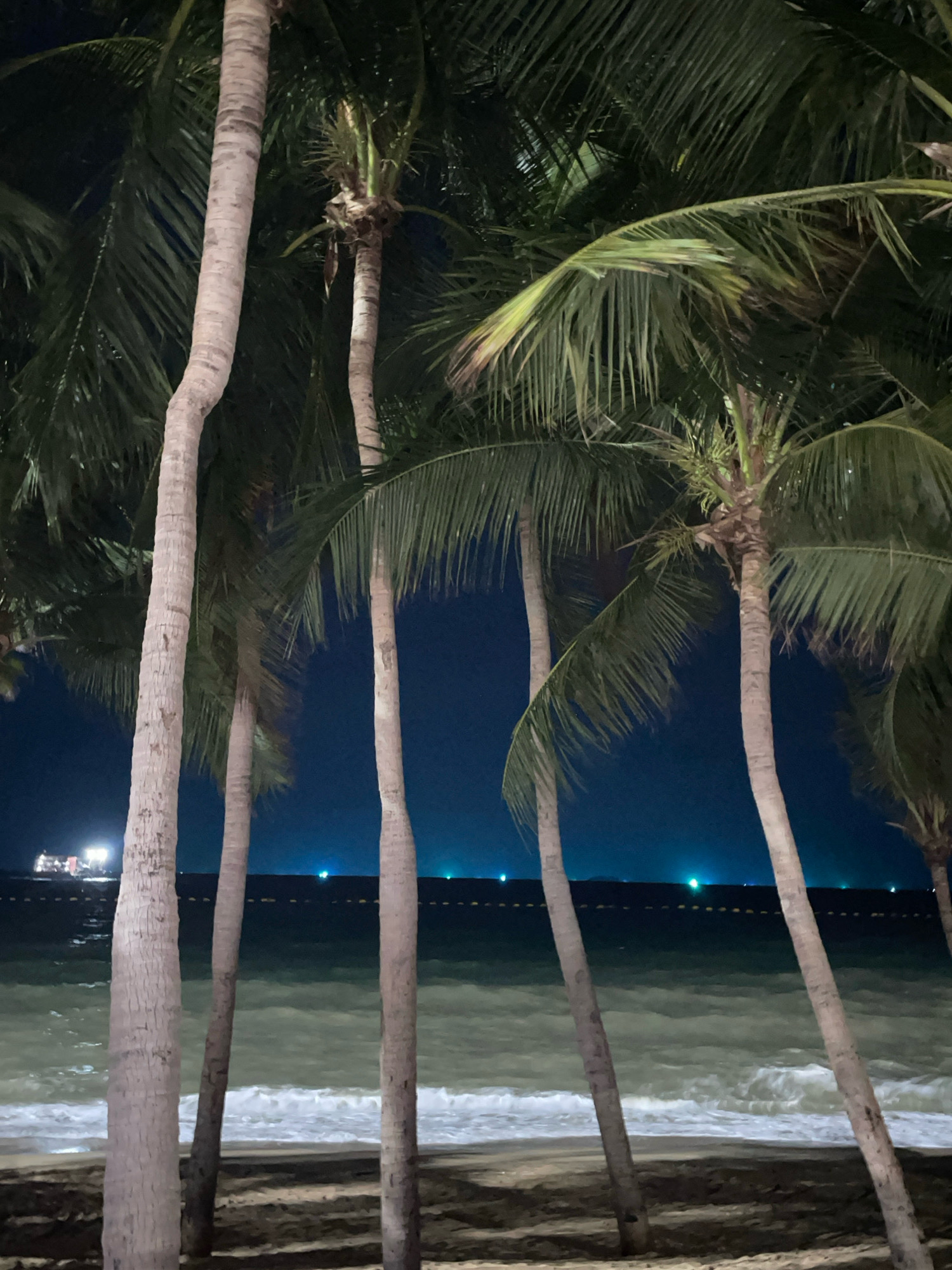 The image depicts a nighttime scene on a beach in Pattaya City, Thailand. Several palm trees dominate the foreground, their trunks a light gray and their fronds creating a dark, leafy canopy against the deep blue night sky. Beyond the palm trees, the ocean is visible with gentle waves breaking on the shore. The water appears a murky green. In the distance, along the horizon where the sea meets the sky, there are several lights. These include what appears to be a ship or large vessel with illuminated decks on the left side, and smaller, scattered teal-colored lights across the middle and right side of the horizon, possibly indicating buoys or distant structures. A line of yellow buoys or markers stretches across the water further out. The beach itself is sandy and appears somewhat dark. No people are visible in the image.
