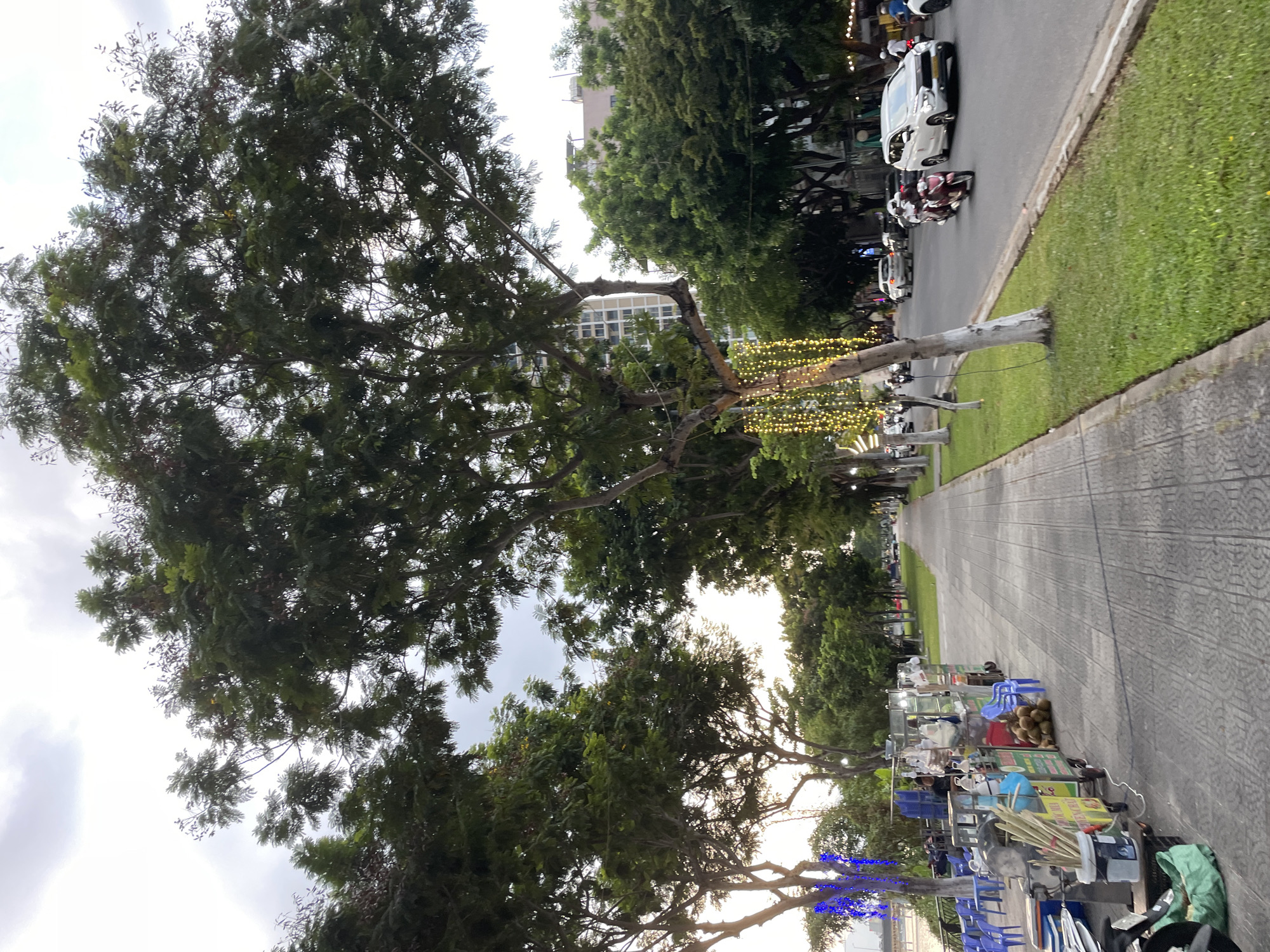 The image depicts a pedestrian walkway along a tree-lined street in Da Nang, Vietnam, likely near the Han River. Several food stalls are set up on the left side of the walkway, selling drinks and snacks. Blue plastic chairs are arranged near some stalls, and a few people are visible sitting or standing around the stalls. A body of water, presumably the Han River, is visible beyond the stalls.
On the right side of the walkway is a grassy median separating the pedestrian area from a street with moderate traffic. Several cars and motorbikes are present on the street, with one motorbike carrying two people prominently featured. Trees with white-painted trunks and hanging yellow lights line the street, adding a decorative element. Buildings, including a tall, modern structure, are visible in the background. The sky is overcast, suggesting it may be late afternoon or early evening. The overall scene conveys a busy urban environment with street-level commerce and activity.