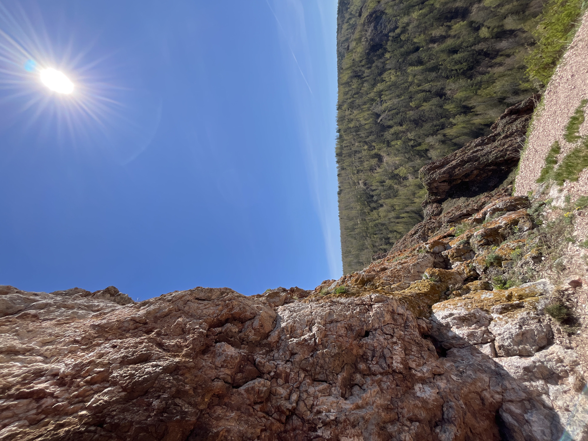 The image depicts a rock formation in Krasnoyarsk, Russia, set against a clear blue sky with a bright sun. A dense forest runs along the upper right edge of the image, adjacent to a rocky, gravel path. The foreground is dominated by textured, reddish-brown rocks, some with patches of moss.