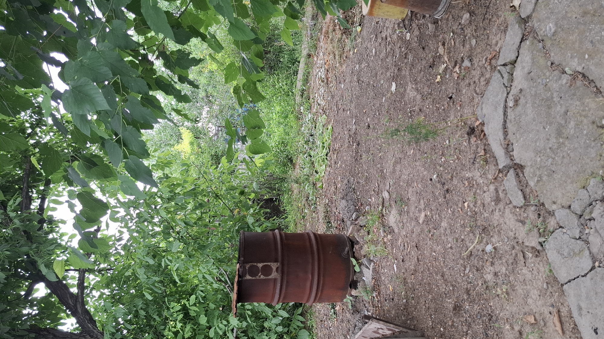 The image shows an outdoor scene in a rural or semi-rural area, likely within the city of Shubarssu, Kazakhstan. In the foreground, there is dry, dusty ground with some scattered debris, including broken concrete pieces and fallen leaves. A rusty metal barrel, appearing to be an old oil drum with a makeshift lid, stands upright on a base of stones and concrete blocks. The barrel is positioned in an open area surrounded by dense green foliage and trees, suggesting a garden or yard setting. Beyond the barrel, the vegetation becomes thicker and more overgrown, with a mix of trees, shrubs, and smaller plants. Sunlight filters through the leaves, creating a dappled lighting effect. The overall impression is one of a somewhat neglected, natural outdoor space.