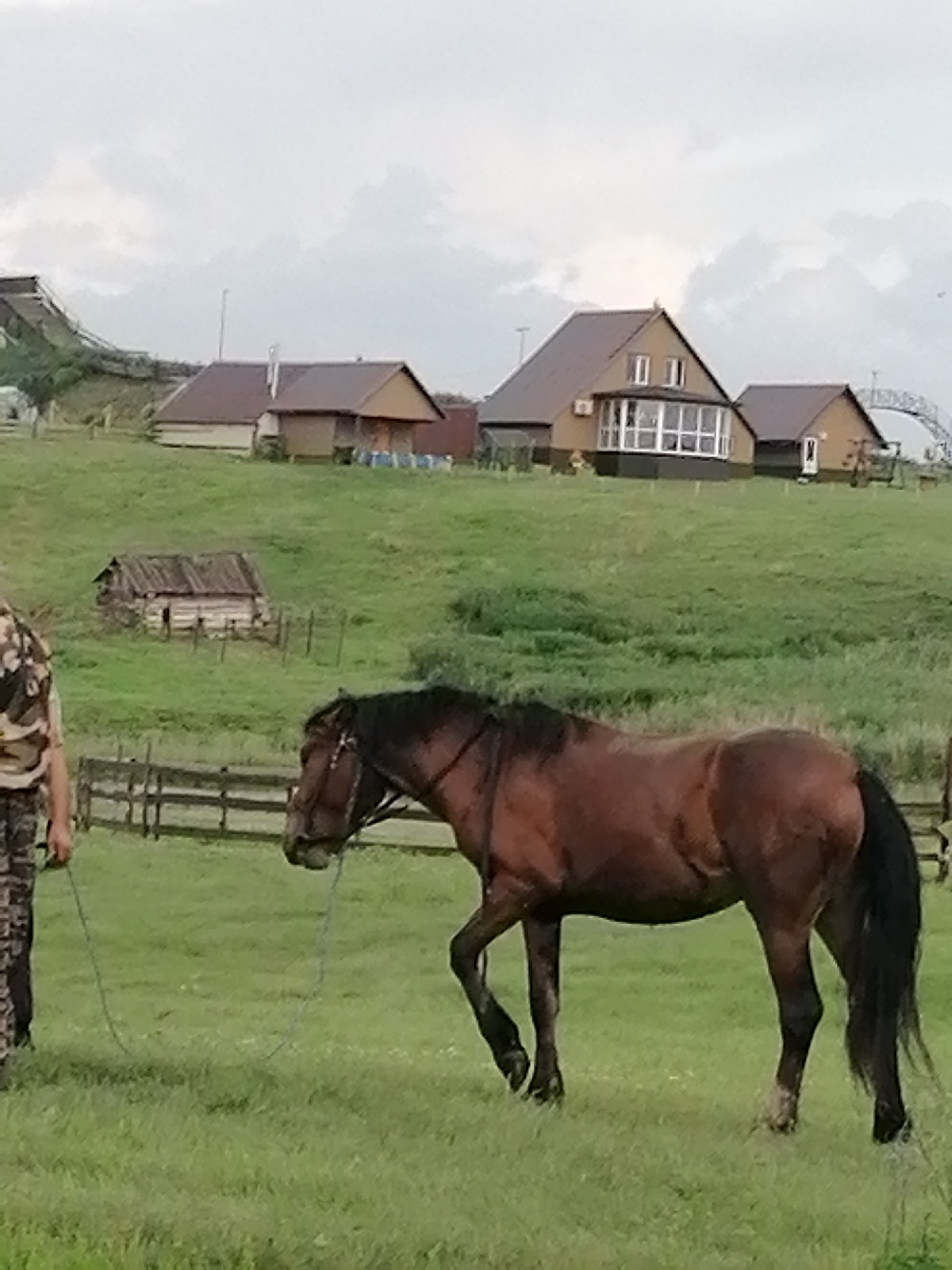 In the city of Mingali, Russia, a person in camouflage pants and a patterned shirt stands to the left of the frame, holding a dark brown horse by a lead rope. The horse, facing right, has a dark mane and tail and is walking on a grassy field. In the background, several buildings are visible, including a small wooden structure with a weathered roof and a larger, modern house with a brown roof and a sunroom with large windows. Further in the distance, a curved bridge-like structure is visible against an overcast sky. The environment is a rural landscape with rolling green hills.