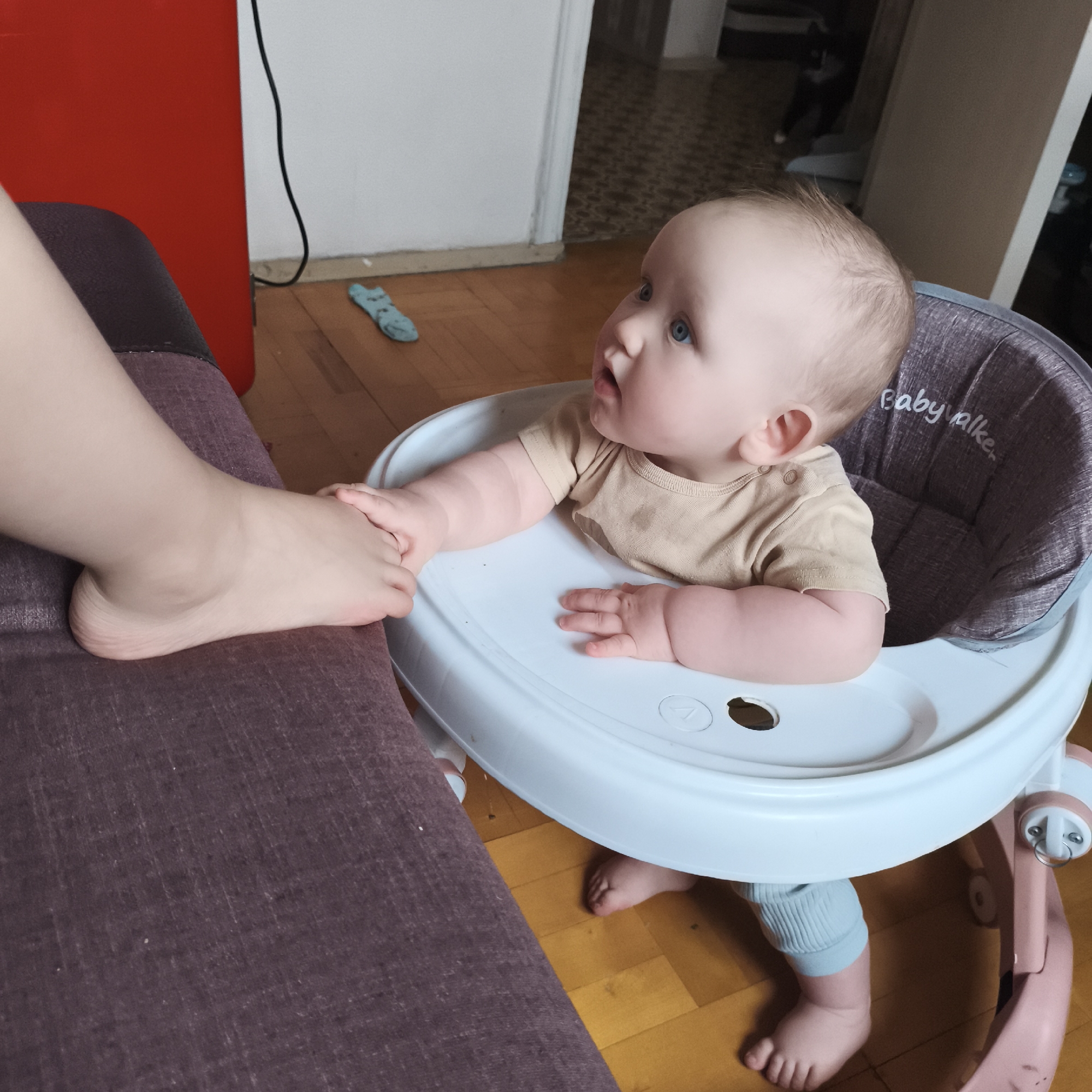 A fair-skinned infant wearing a tan short-sleeved shirt and light blue leg coverings is seated in a pink and white walker. The baby is turned to the left, grasping the foot of a person seated on a mauve upholstered surface to the left. The flooring is wooden planks. A red object and a length of cord are visible in the upper-left corner. Behind the infant, in the background, is an open doorway, through which a patterned floor is visible. A dislocated blue sock is visible on the floor.